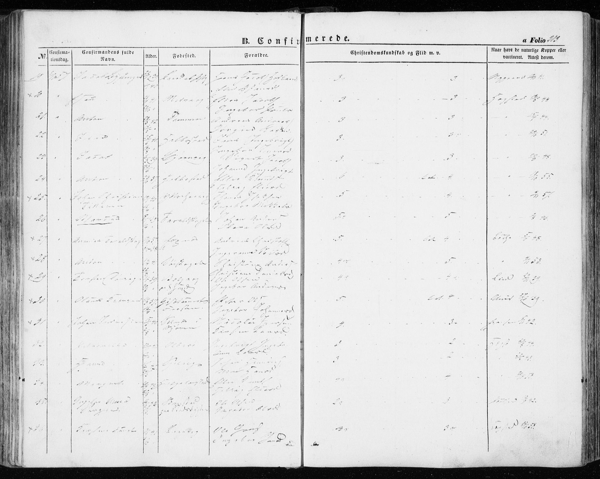 Ministerialprotokoller, klokkerbøker og fødselsregistre - Sør-Trøndelag, AV/SAT-A-1456/634/L0530: Parish register (official) no. 634A06, 1852-1860, p. 203