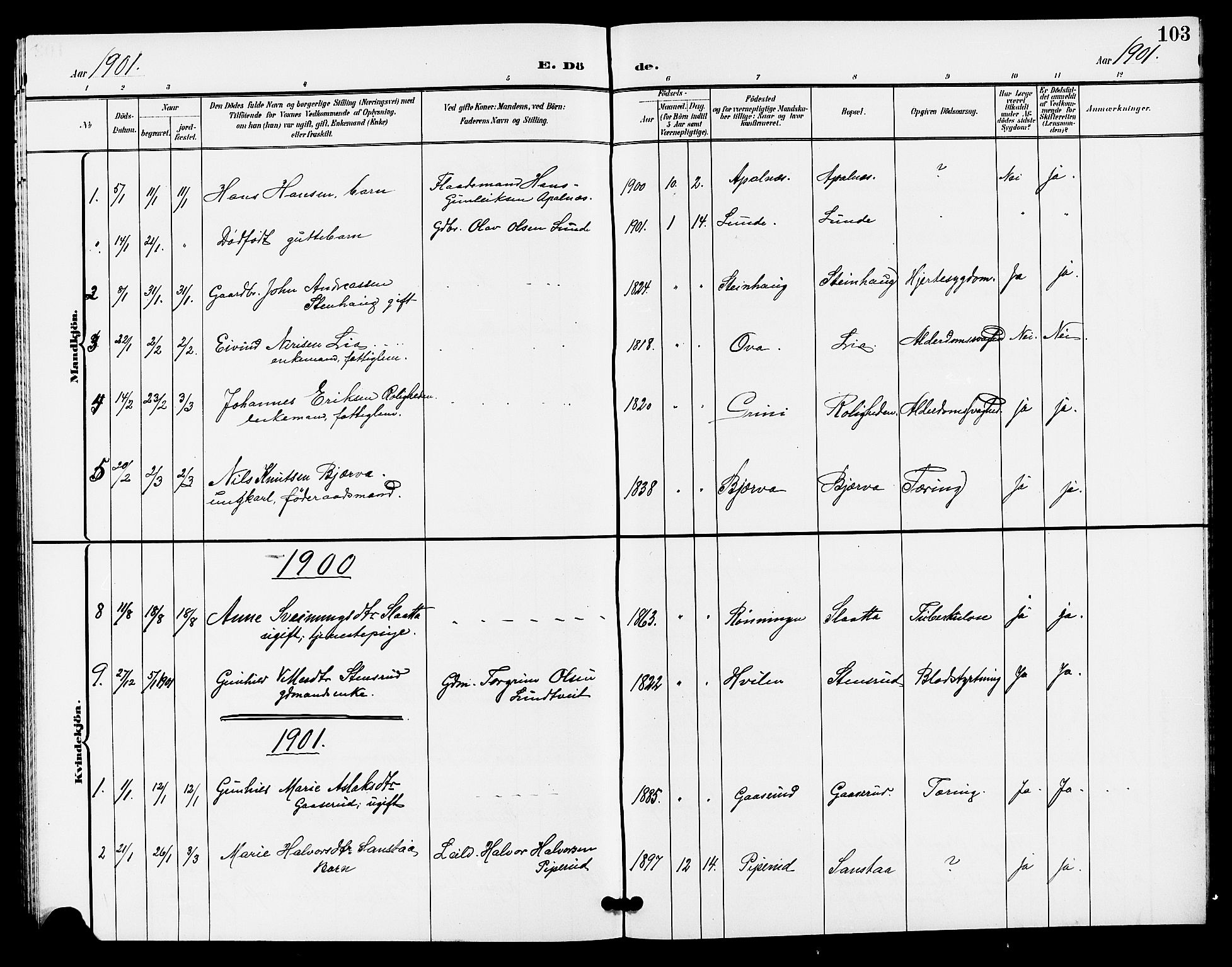 Lunde kirkebøker, SAKO/A-282/G/Ga/L0003: Parish register (copy) no. I 3, 1896-1905, p. 103