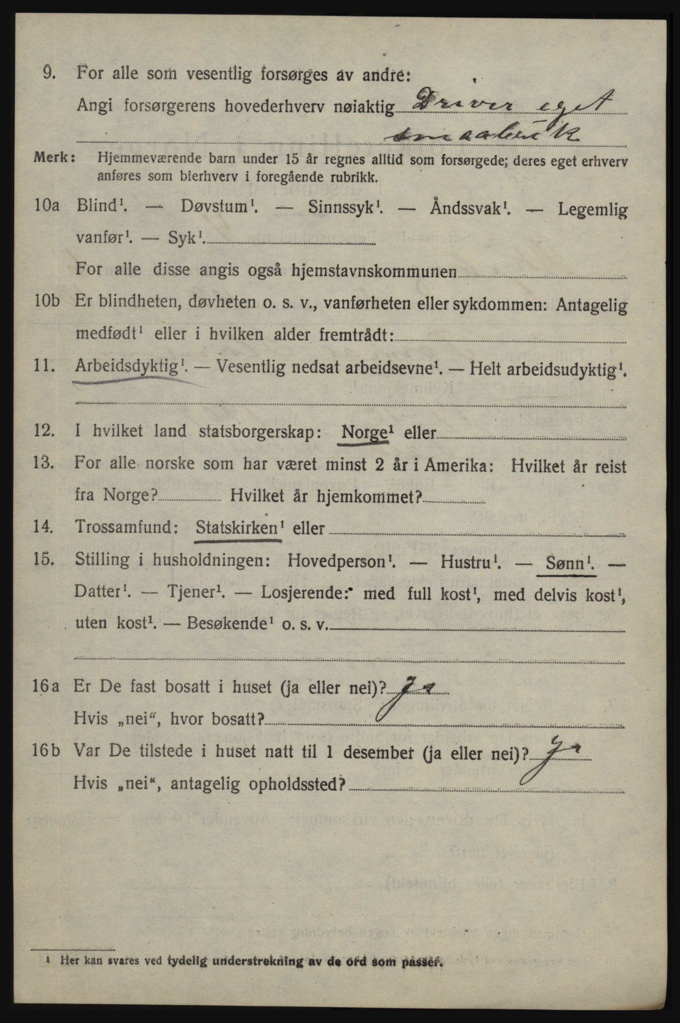 SAO, 1920 census for Skjeberg, 1920, p. 6606