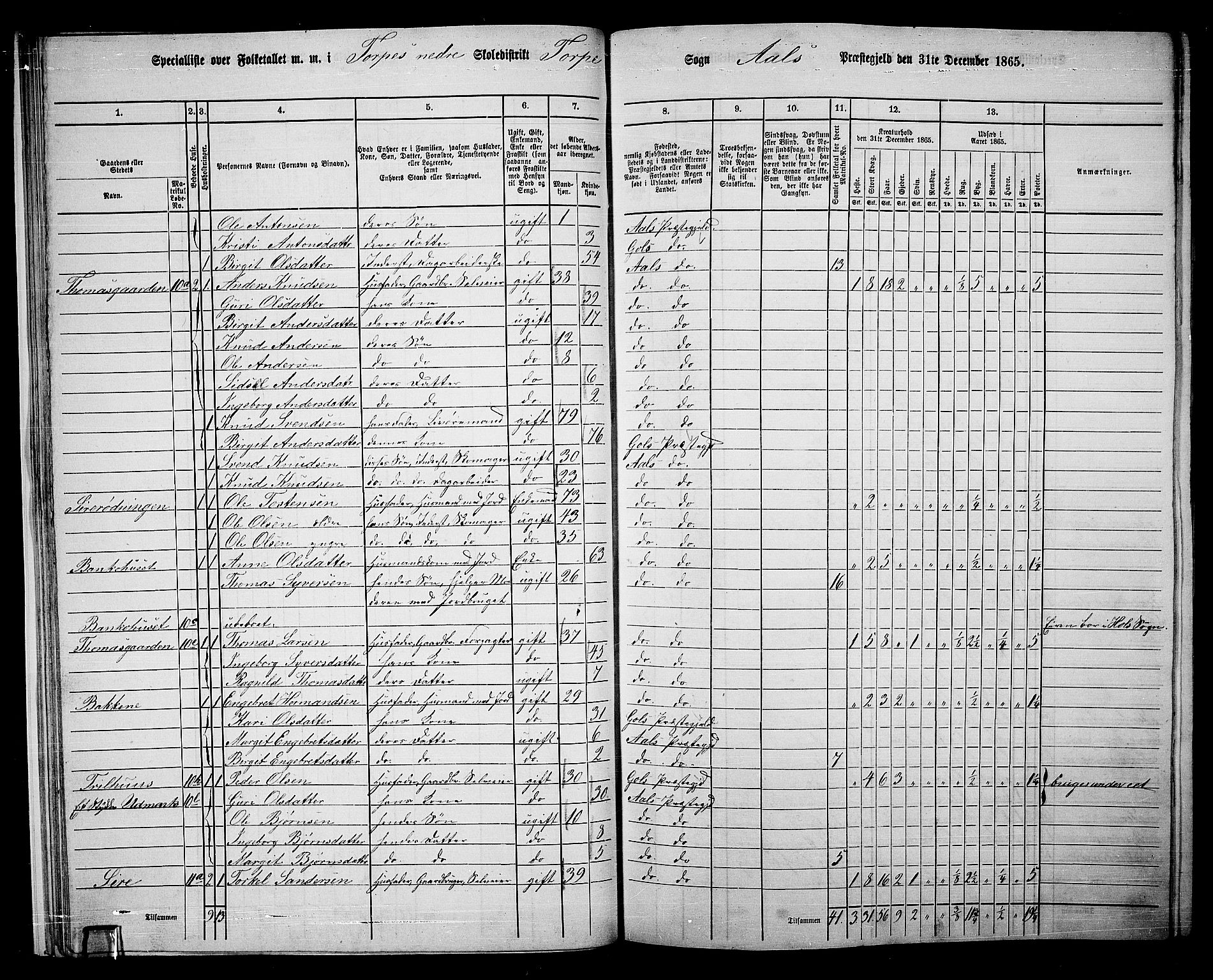 RA, 1865 census for Ål, 1865, p. 25