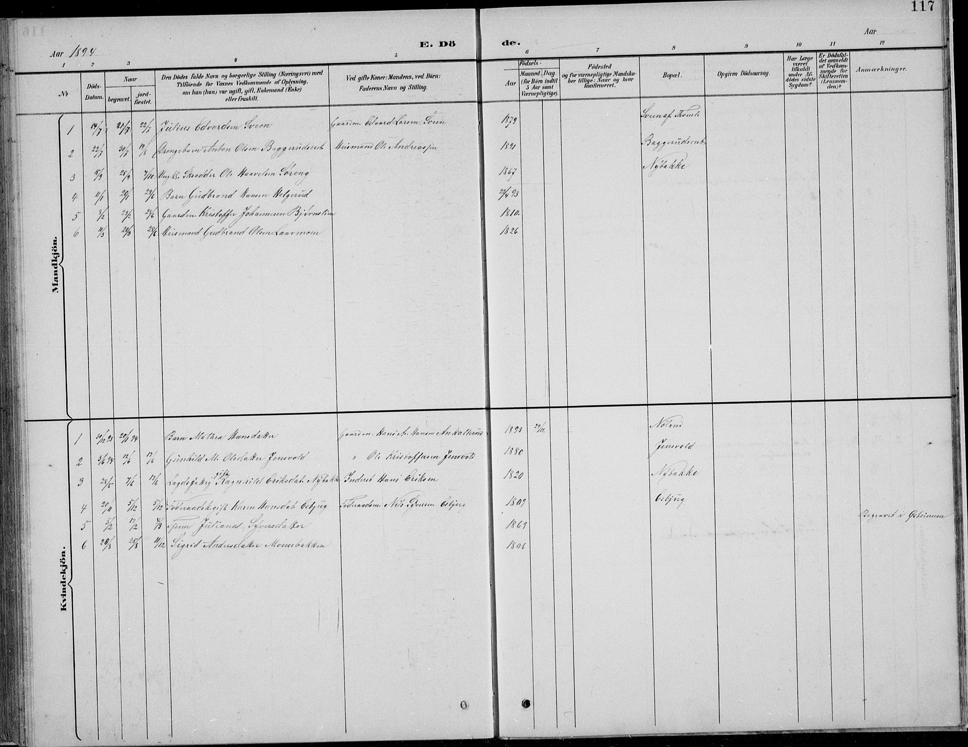 Nordre Land prestekontor, SAH/PREST-124/H/Ha/Hab/L0013: Parish register (copy) no. 13, 1891-1904, p. 117