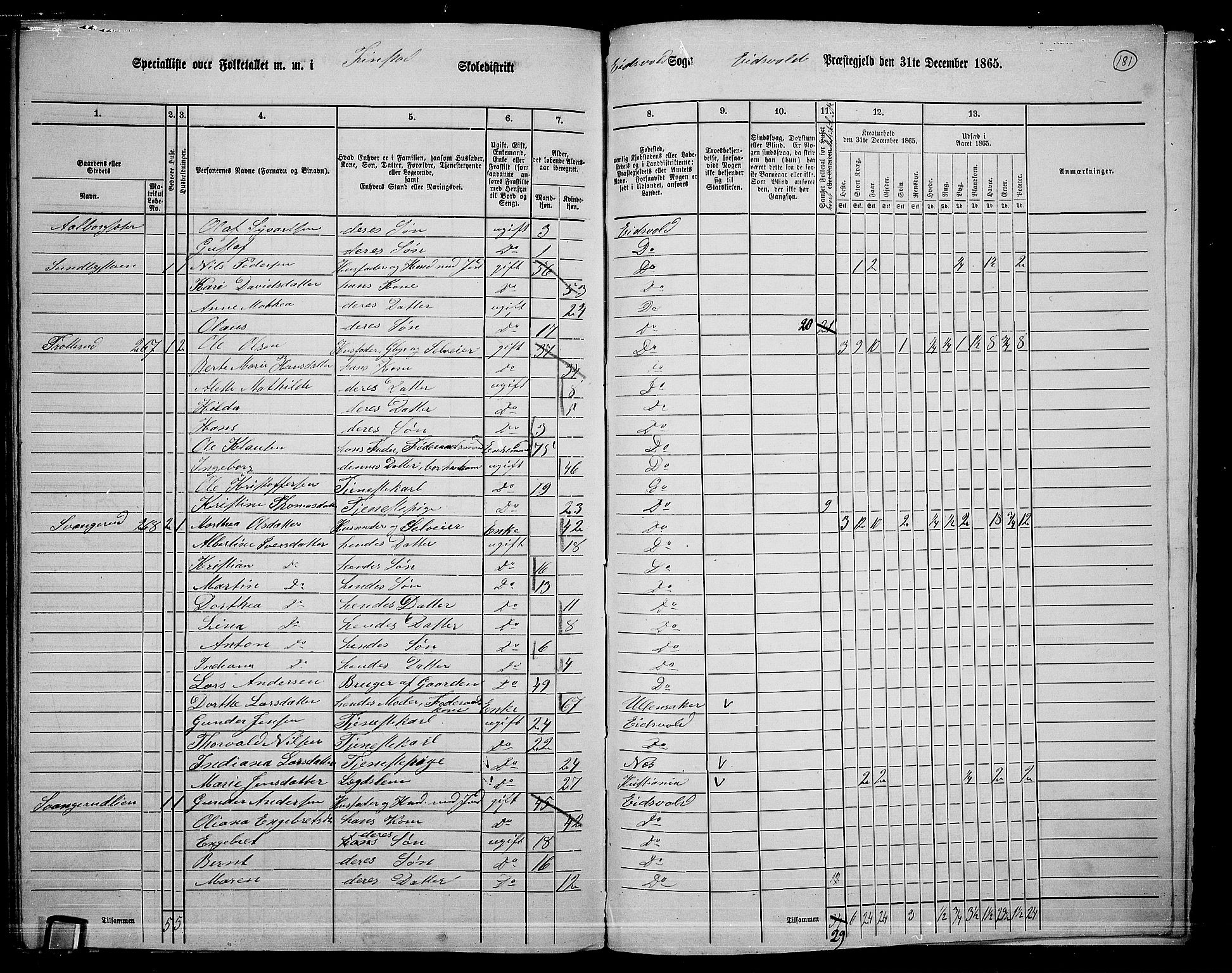 RA, 1865 census for Eidsvoll, 1865, p. 160