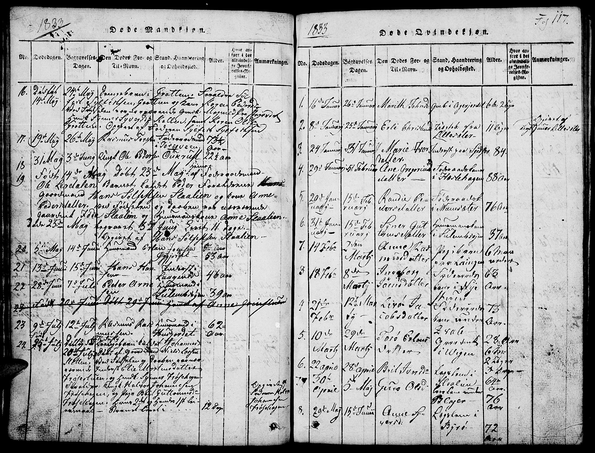 Lom prestekontor, SAH/PREST-070/L/L0001: Parish register (copy) no. 1, 1815-1836, p. 117