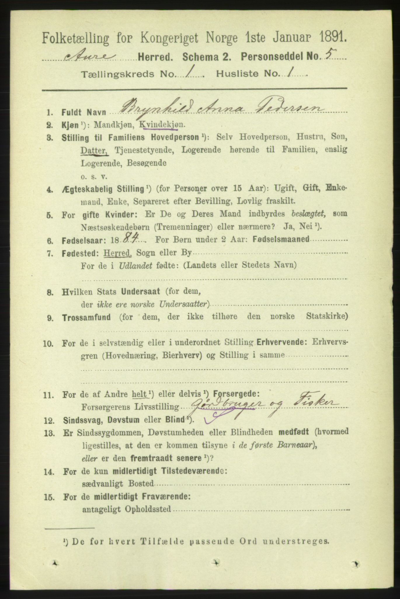 RA, 1891 census for 1569 Aure, 1891, p. 128