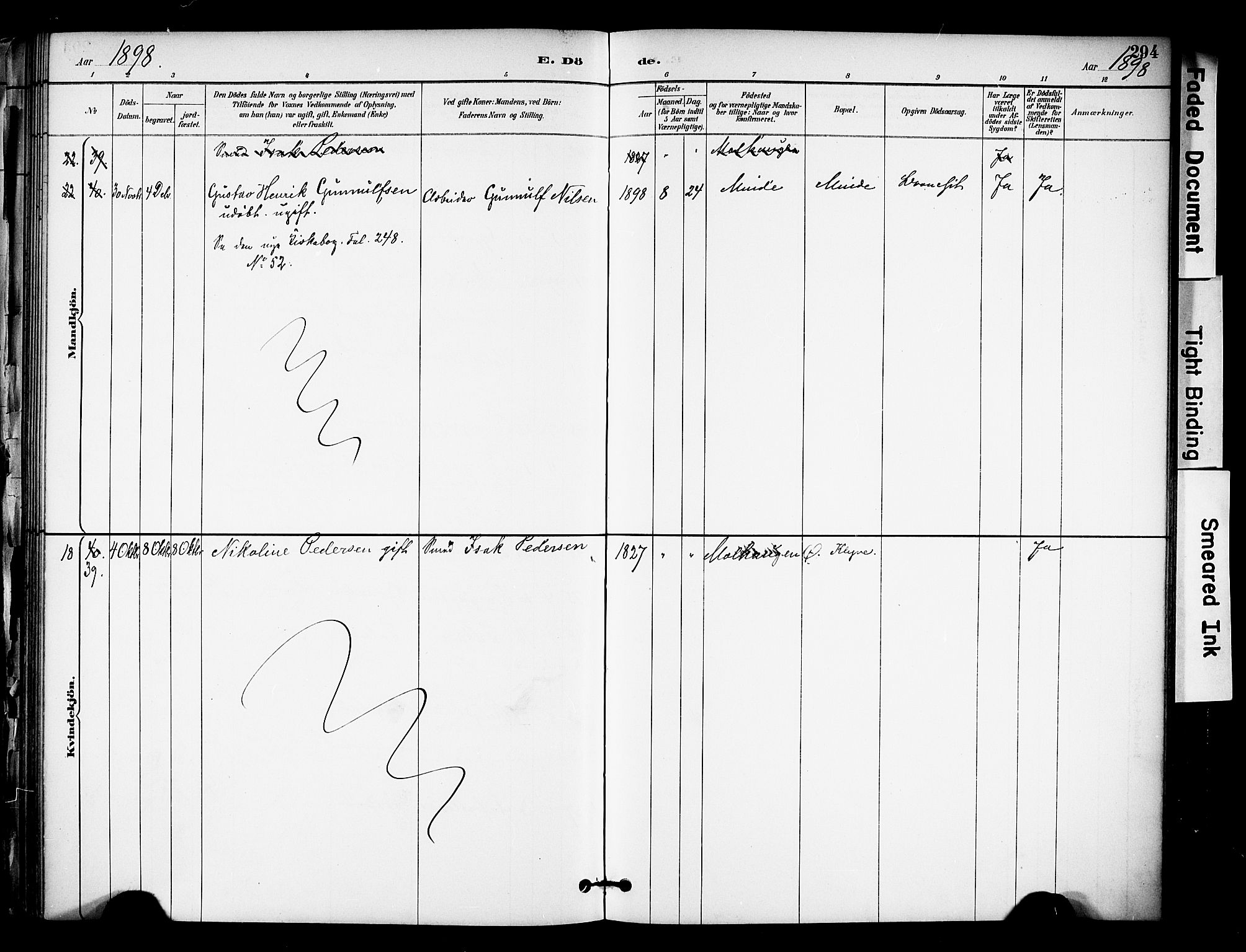 Solum kirkebøker, SAKO/A-306/F/Fa/L0010: Parish register (official) no. I 10, 1888-1898, p. 294