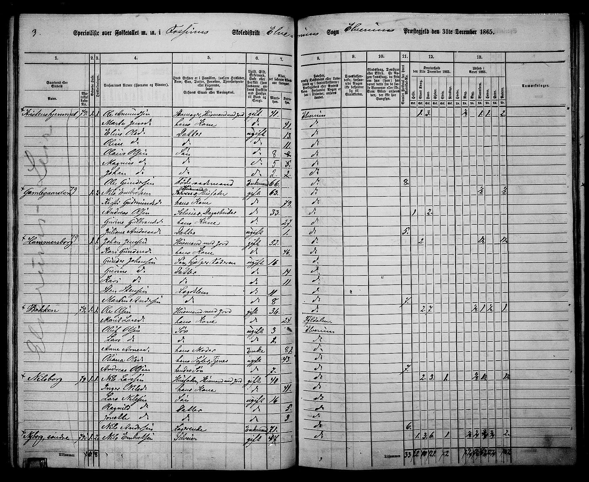 RA, 1865 census for Elverum, 1865, p. 102