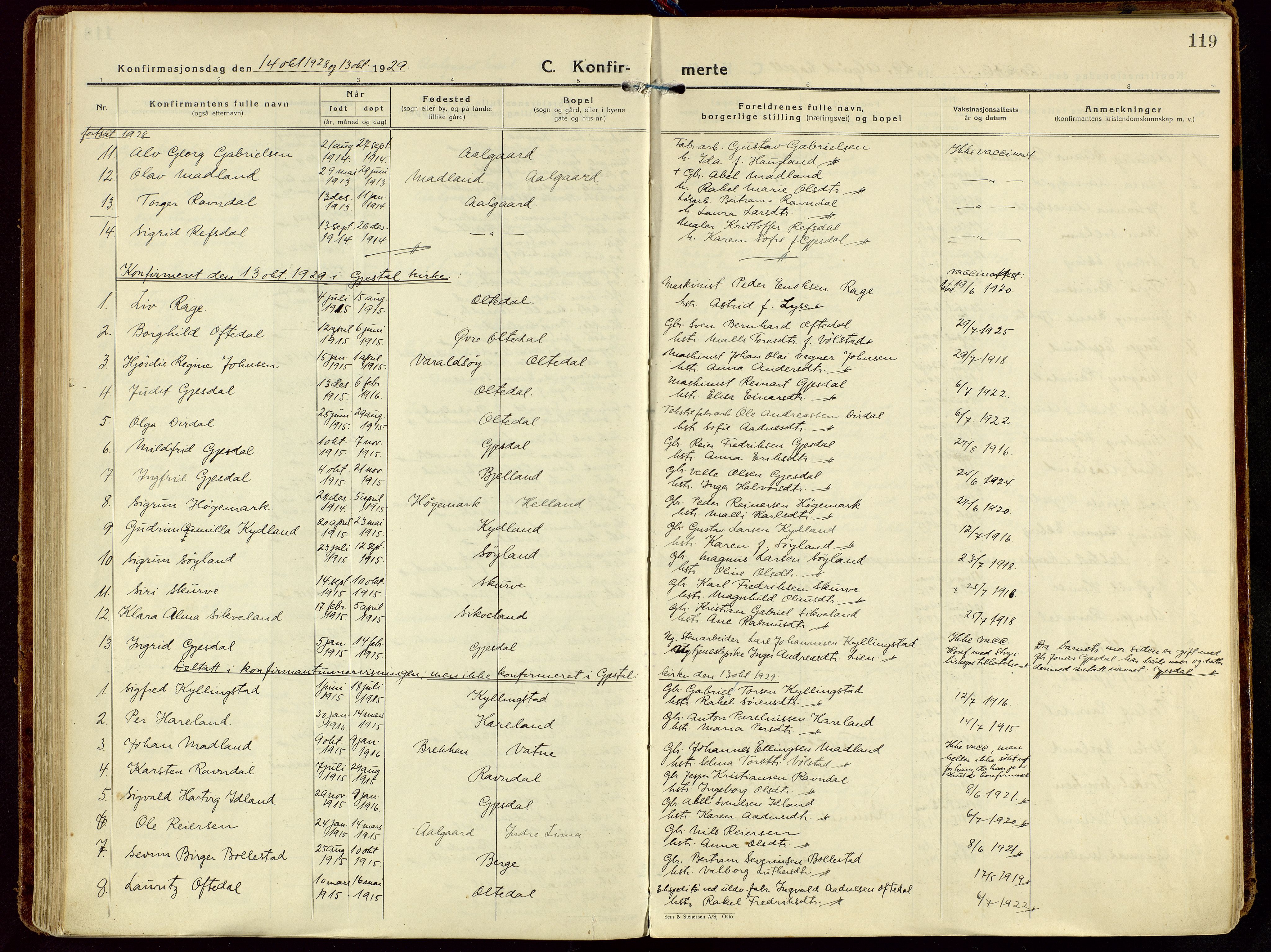 Gjesdal sokneprestkontor, SAST/A-101796/003/O/L0001: Parish register (official) no. A 1, 1925-1949, p. 119