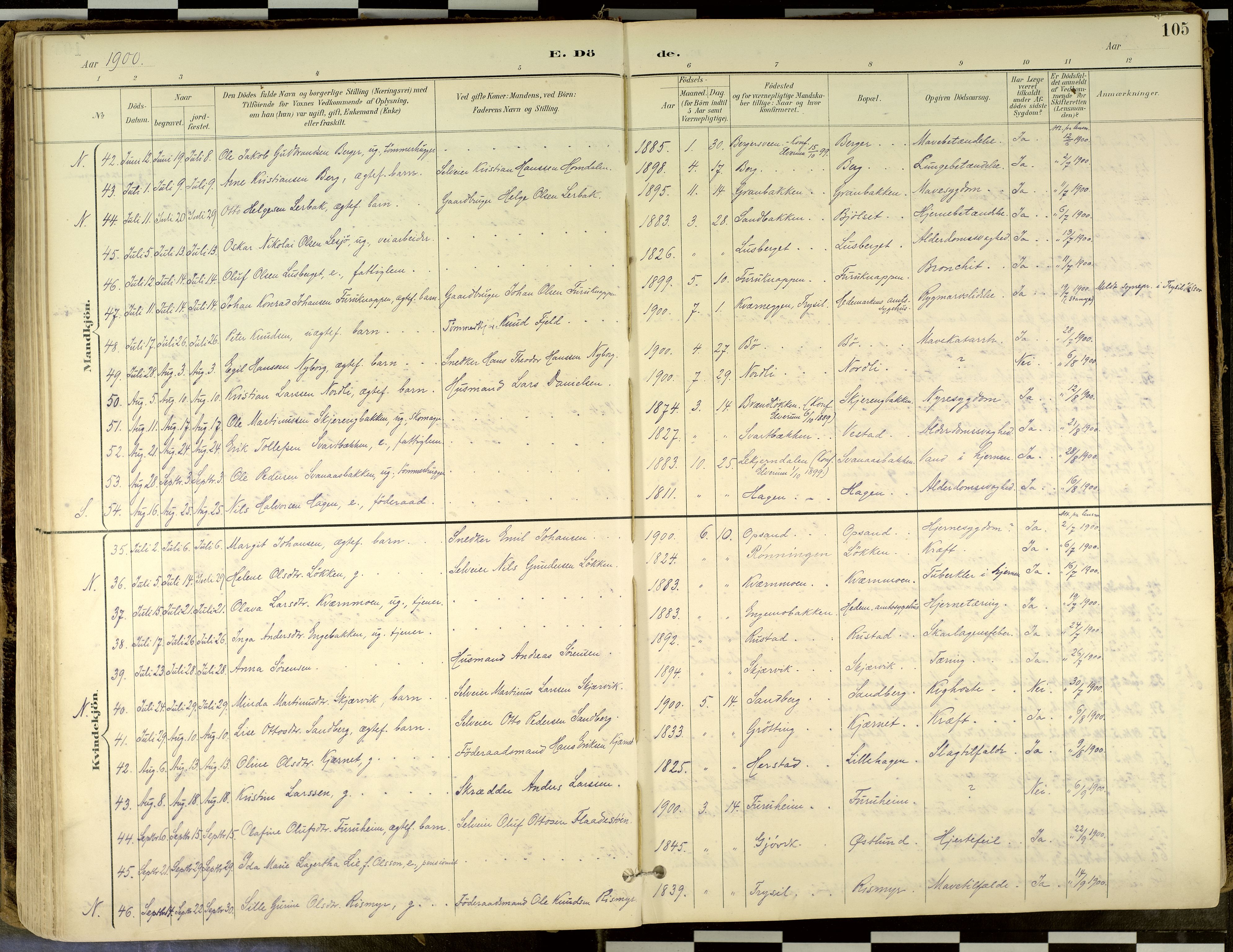 Elverum prestekontor, AV/SAH-PREST-044/H/Ha/Haa/L0018: Parish register (official) no. 18, 1894-1914, p. 105