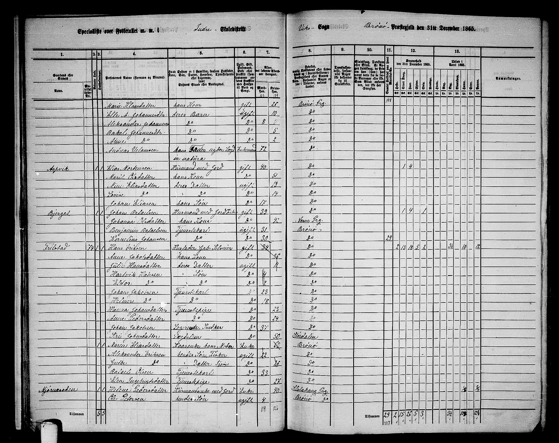 RA, 1865 census for Brønnøy, 1865, p. 20
