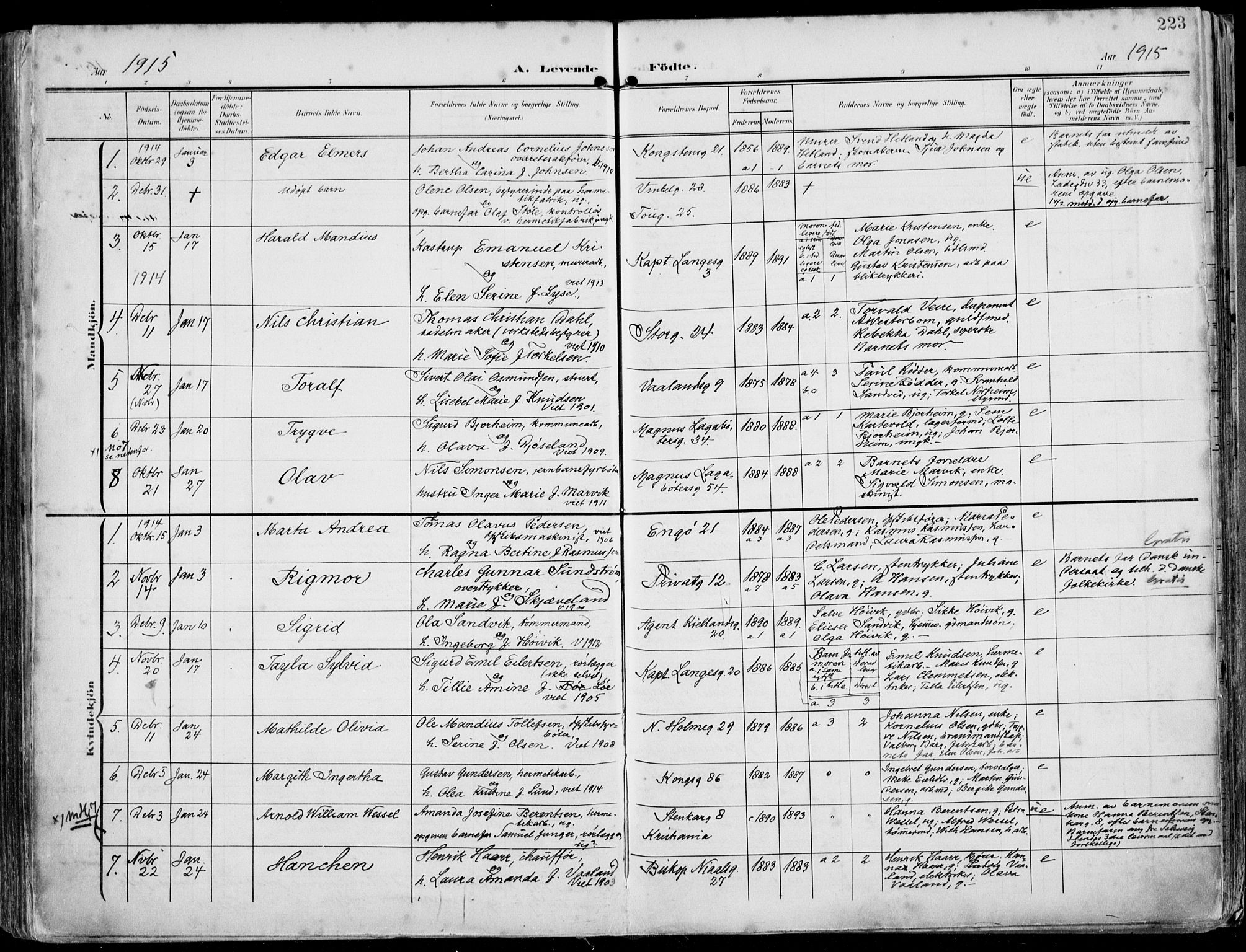 St. Petri sokneprestkontor, AV/SAST-A-101813/002/A/L0005: Parish register (official) no. A 23, 1902-1918, p. 223