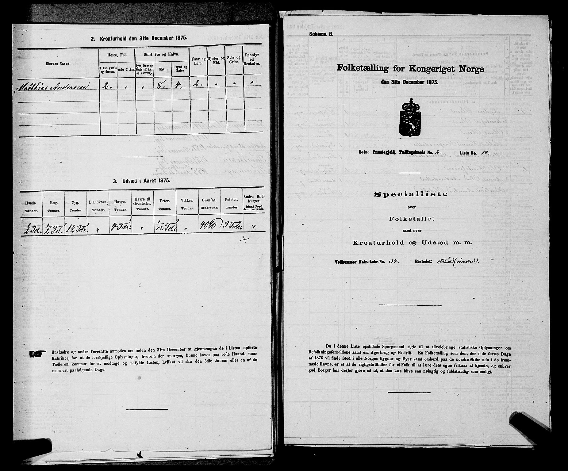 SAKO, 1875 census for 0715P Botne, 1875, p. 196