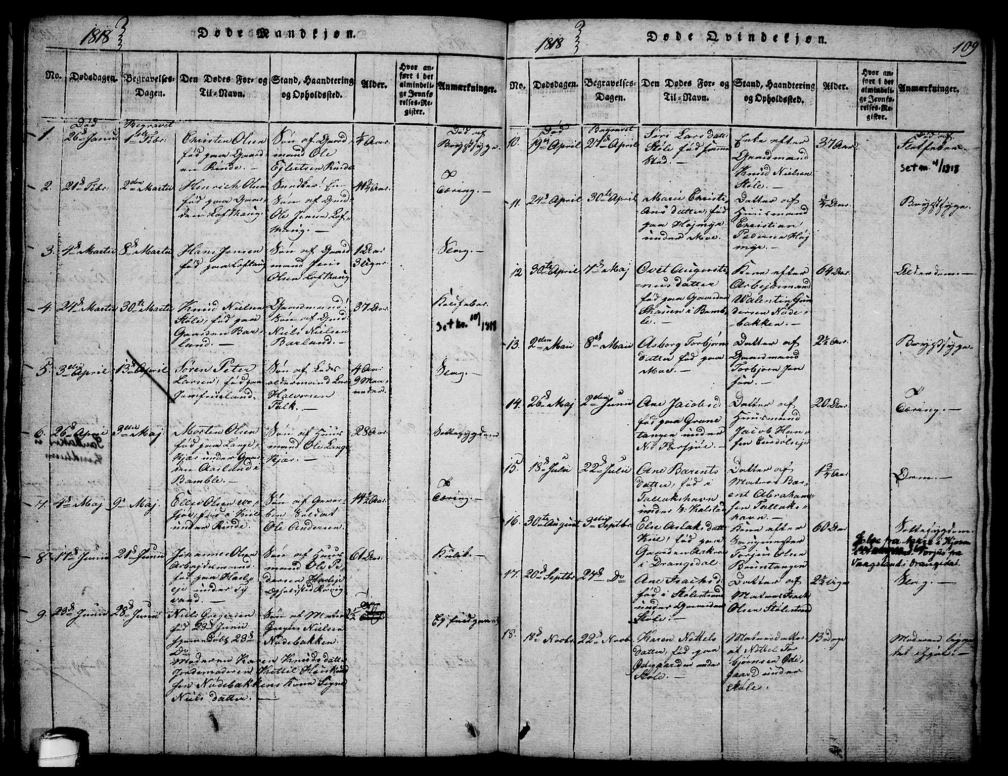 Sannidal kirkebøker, AV/SAKO-A-296/F/Fa/L0004: Parish register (official) no. 4, 1814-1829, p. 109