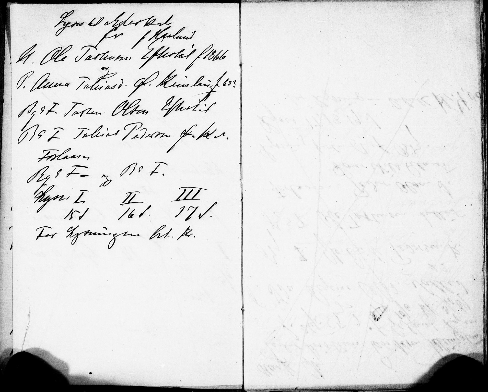 Fjotland sokneprestkontor, AV/SAK-1111-0010/F/Fe/L0001: Banns register no. II.5.1, 1886-1886, p. 4-5