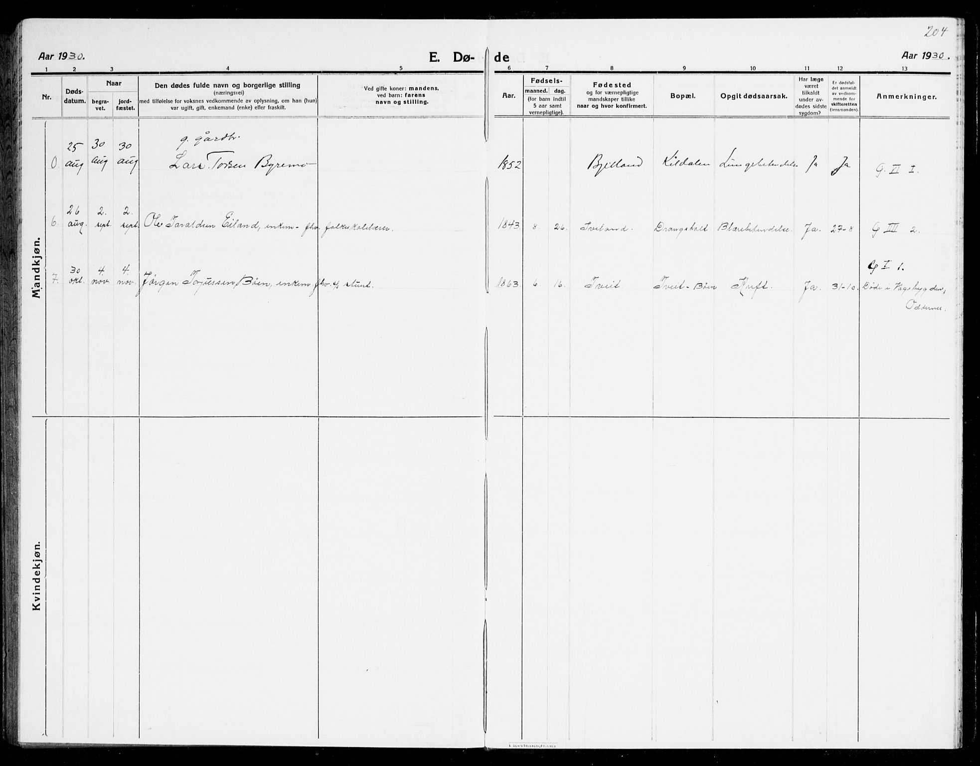 Tveit sokneprestkontor, AV/SAK-1111-0043/F/Fb/L0005: Parish register (copy) no. B 5, 1915-1941, p. 204