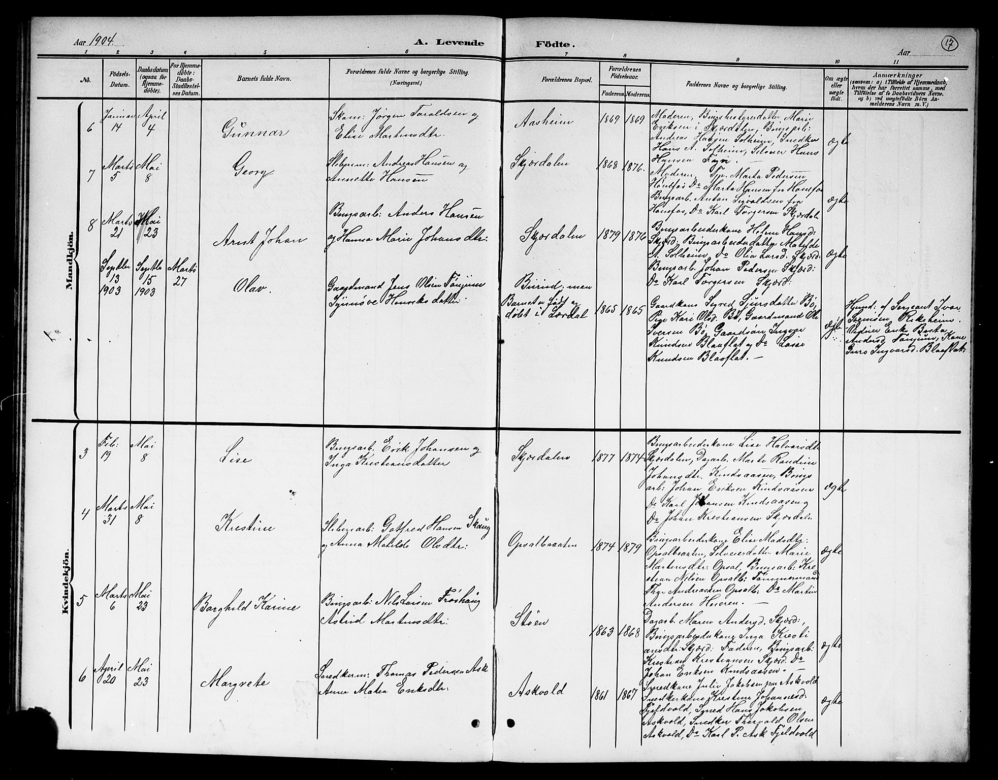 Hole kirkebøker, AV/SAKO-A-228/G/Gb/L0004: Parish register (copy) no. II 4, 1901-1916, p. 17