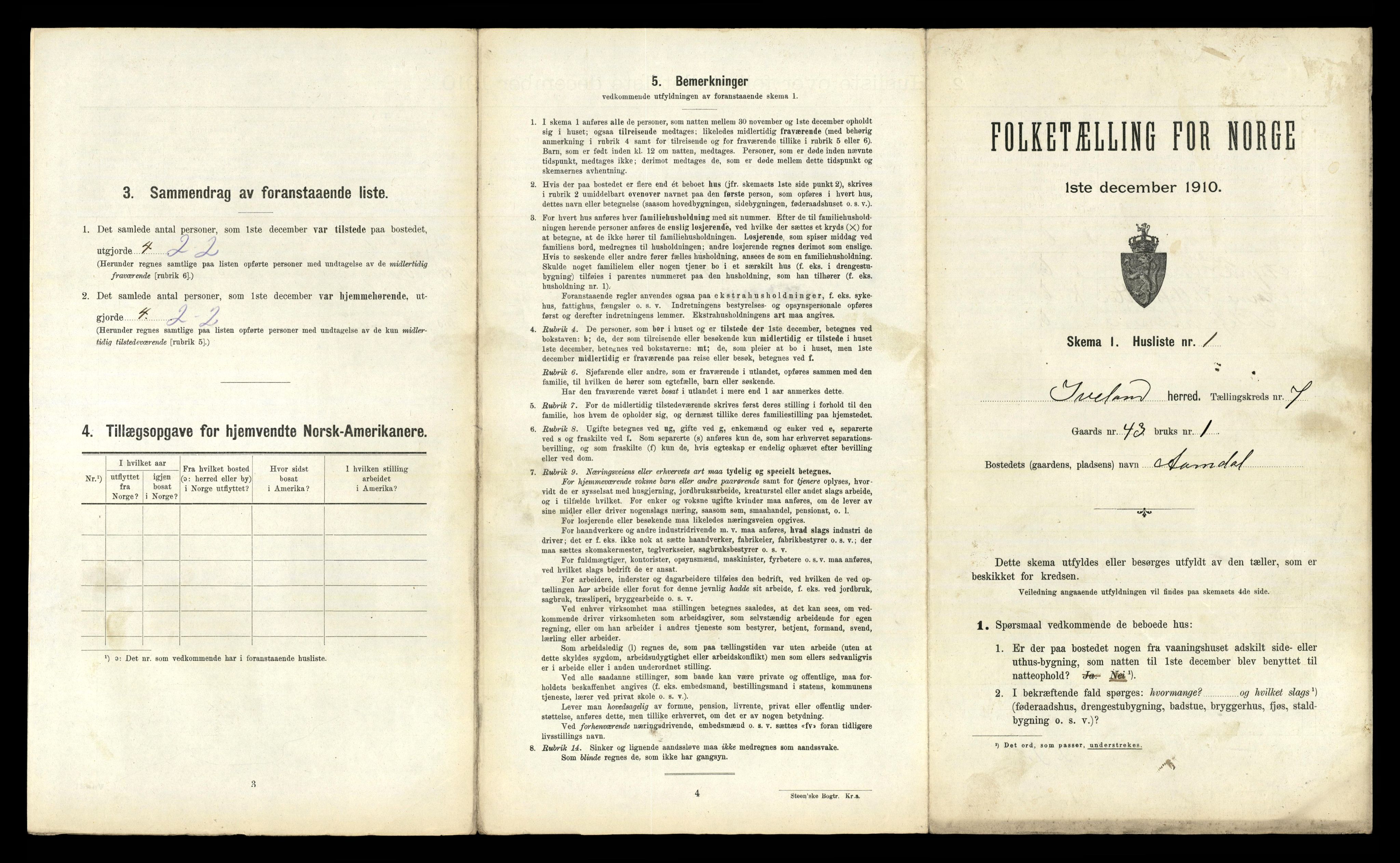 RA, 1910 census for Iveland, 1910, p. 307