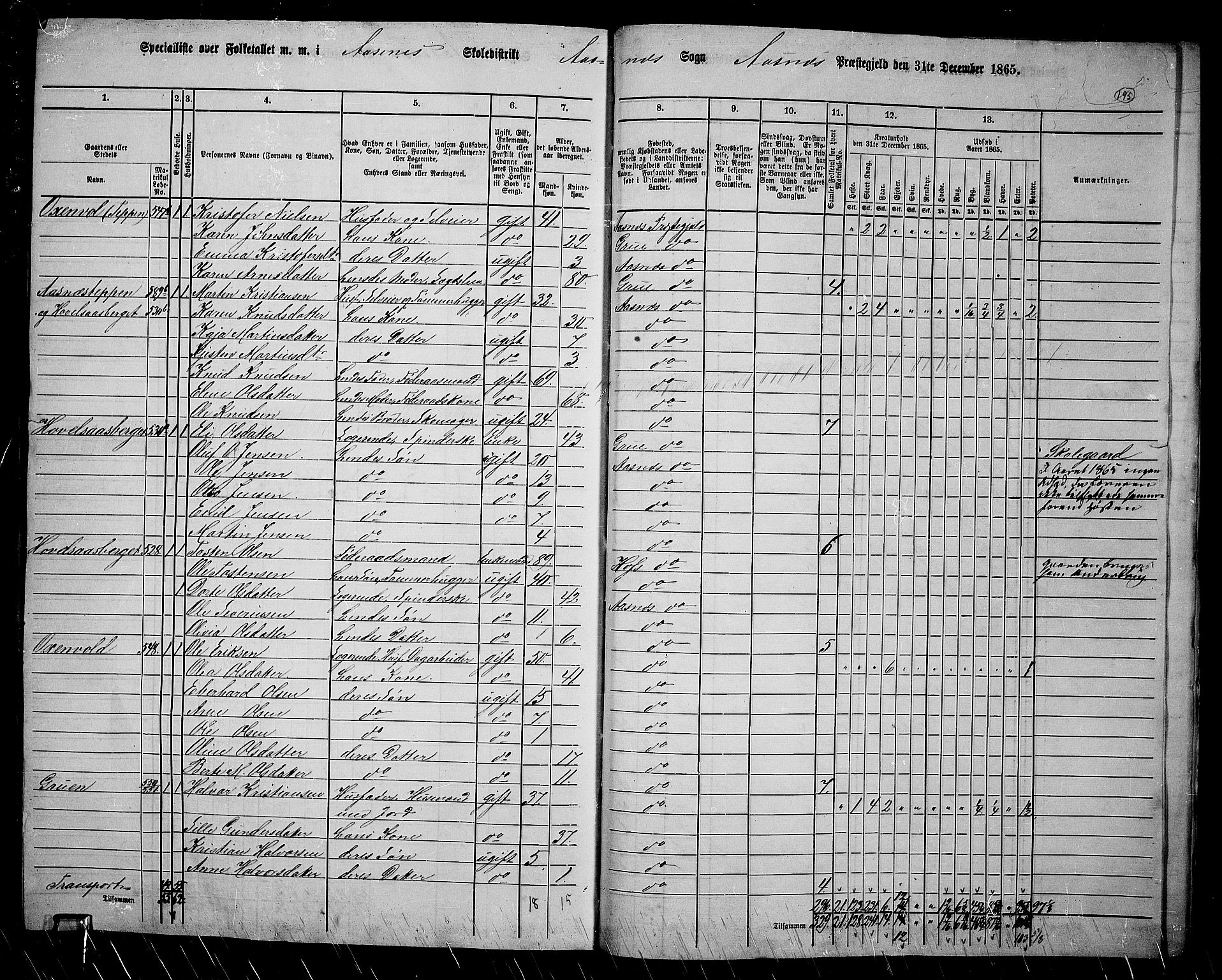 RA, 1865 census for Åsnes, 1865, p. 179