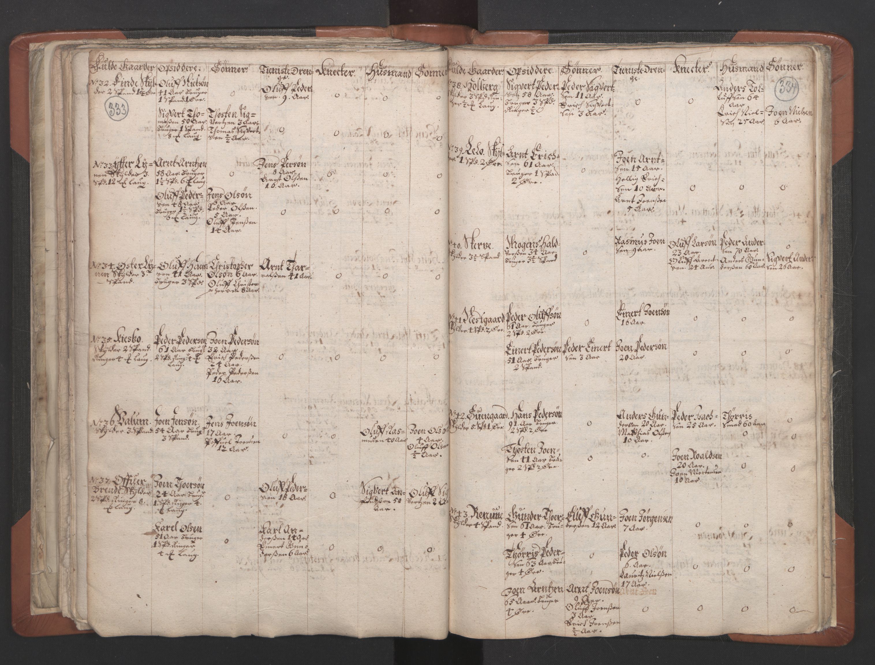 RA, Vicar's Census 1664-1666, no. 32: Innherad deanery, 1664-1666, p. 333-334