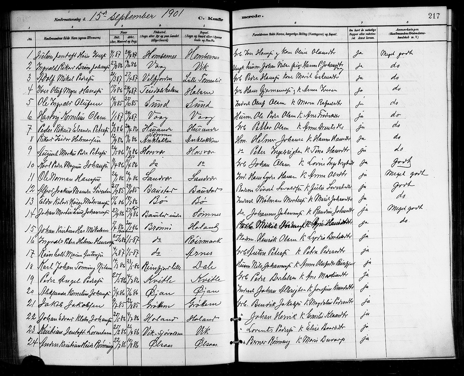 Ministerialprotokoller, klokkerbøker og fødselsregistre - Nordland, SAT/A-1459/812/L0188: Parish register (copy) no. 812C06, 1884-1912, p. 217