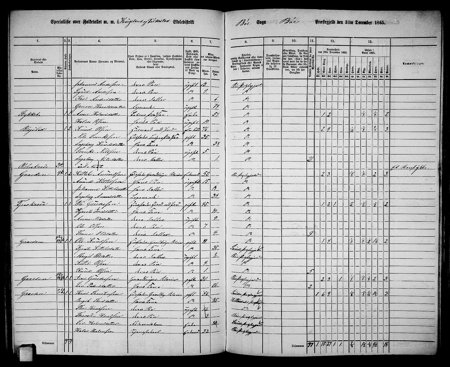 RA, 1865 census for Bø, 1865, p. 135