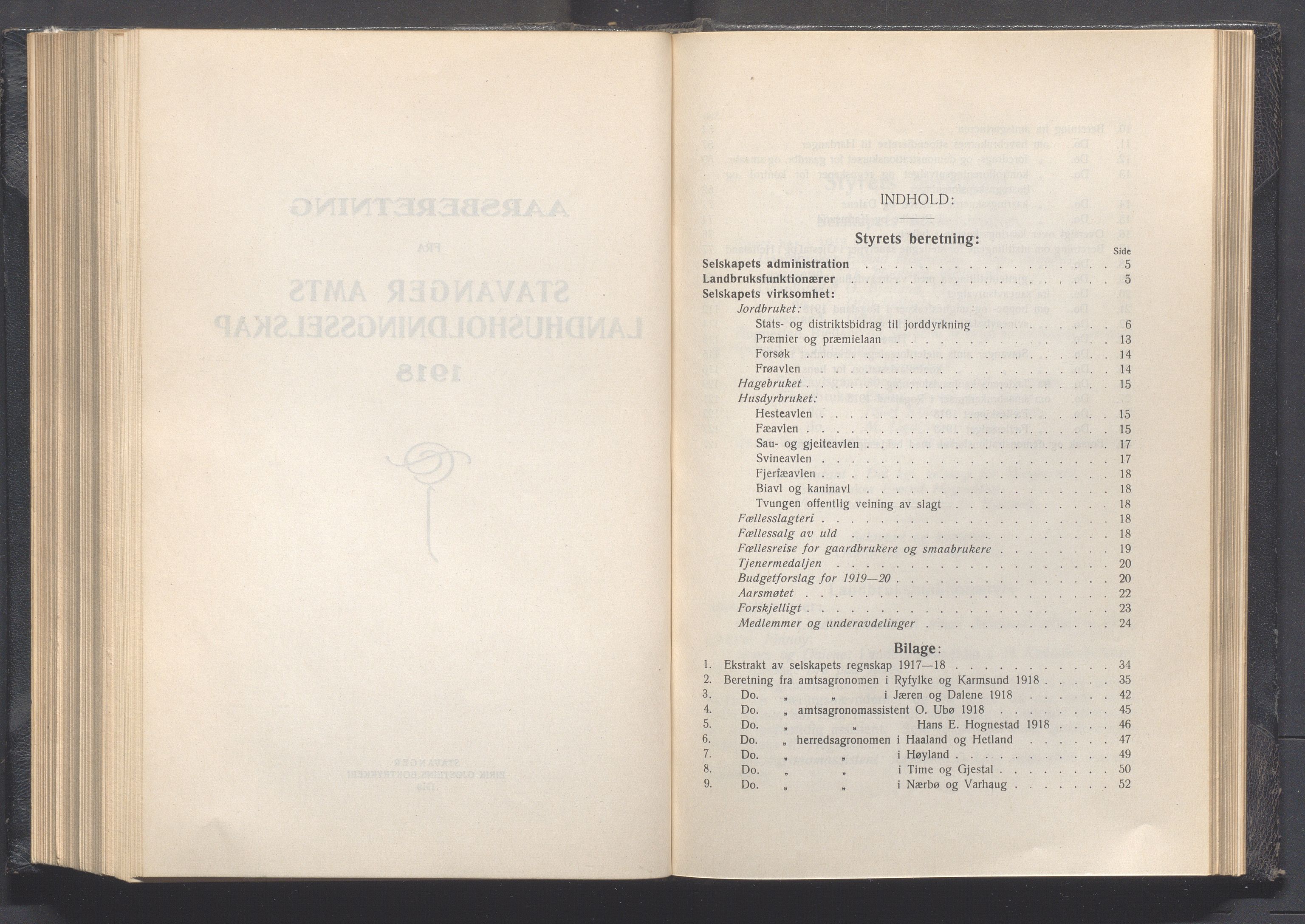 Rogaland fylkeskommune - Fylkesrådmannen , IKAR/A-900/A, 1919, p. 281