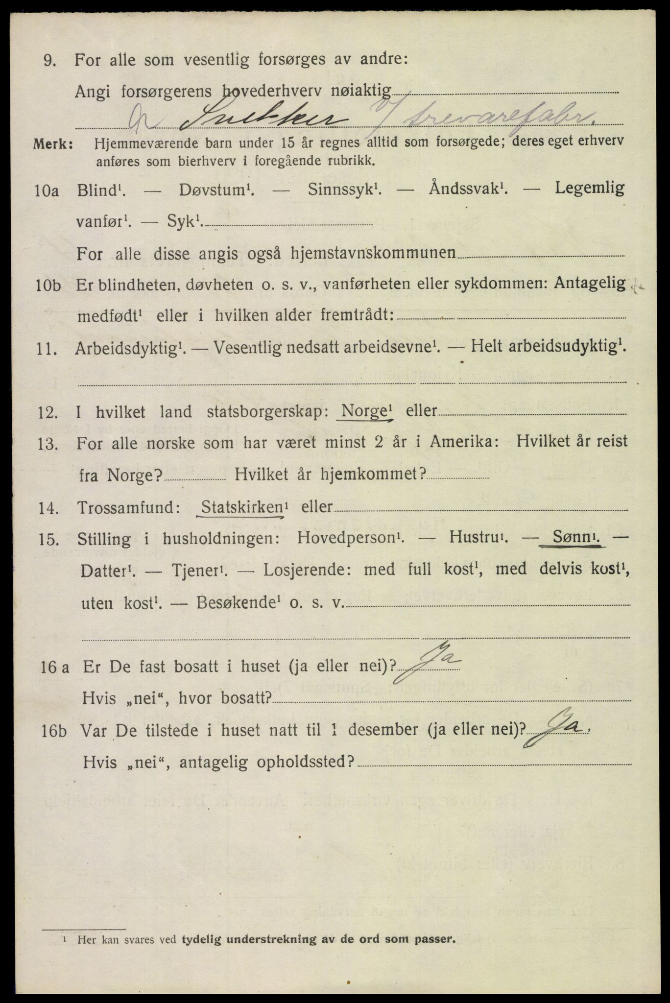 SAH, 1920 census for Hof, 1920, p. 7100