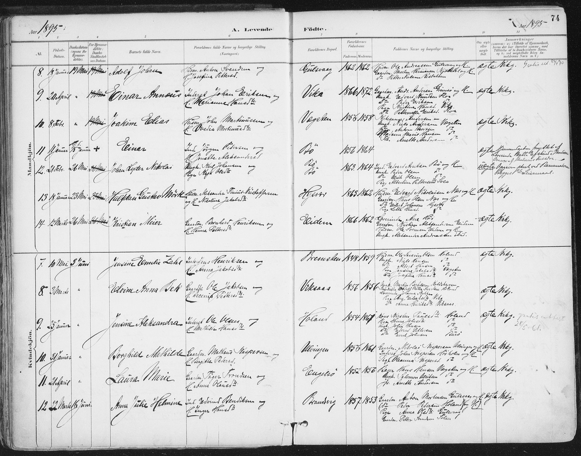 Ministerialprotokoller, klokkerbøker og fødselsregistre - Nordland, AV/SAT-A-1459/816/L0244: Parish register (official) no. 816A10, 1886-1903, p. 74