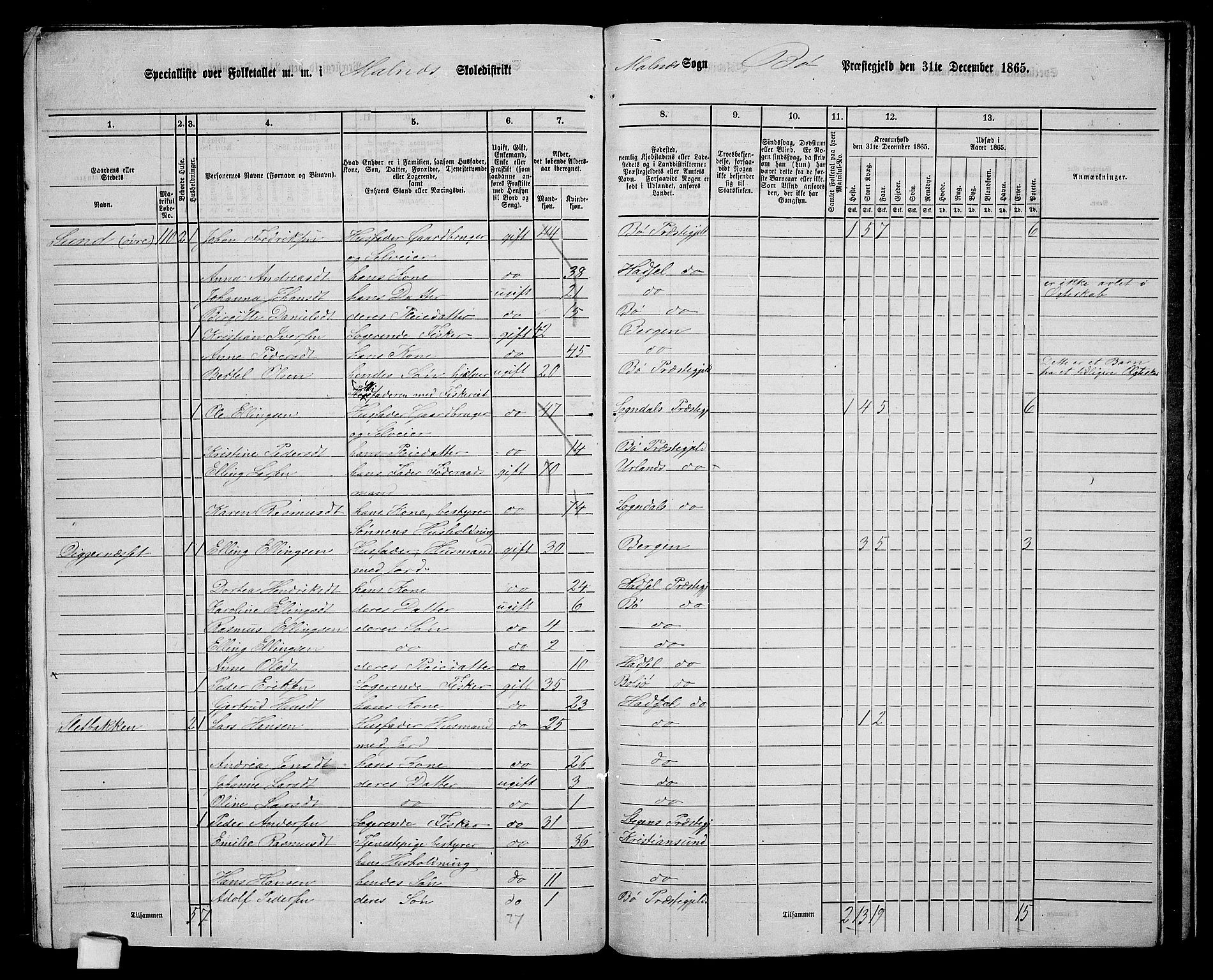 RA, 1865 census for Bø, 1865, p. 68