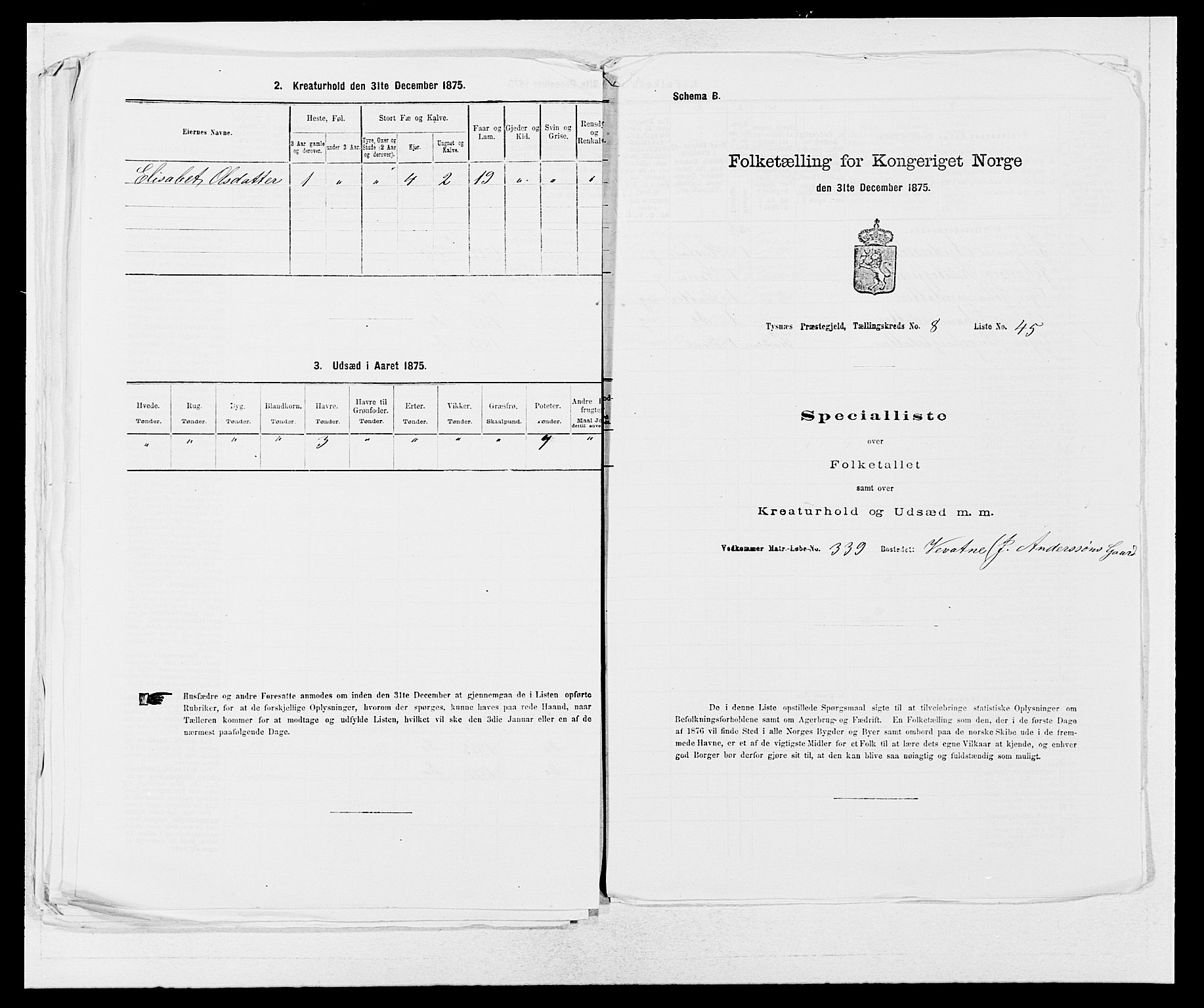 SAB, 1875 census for 1223P Tysnes, 1875, p. 1019