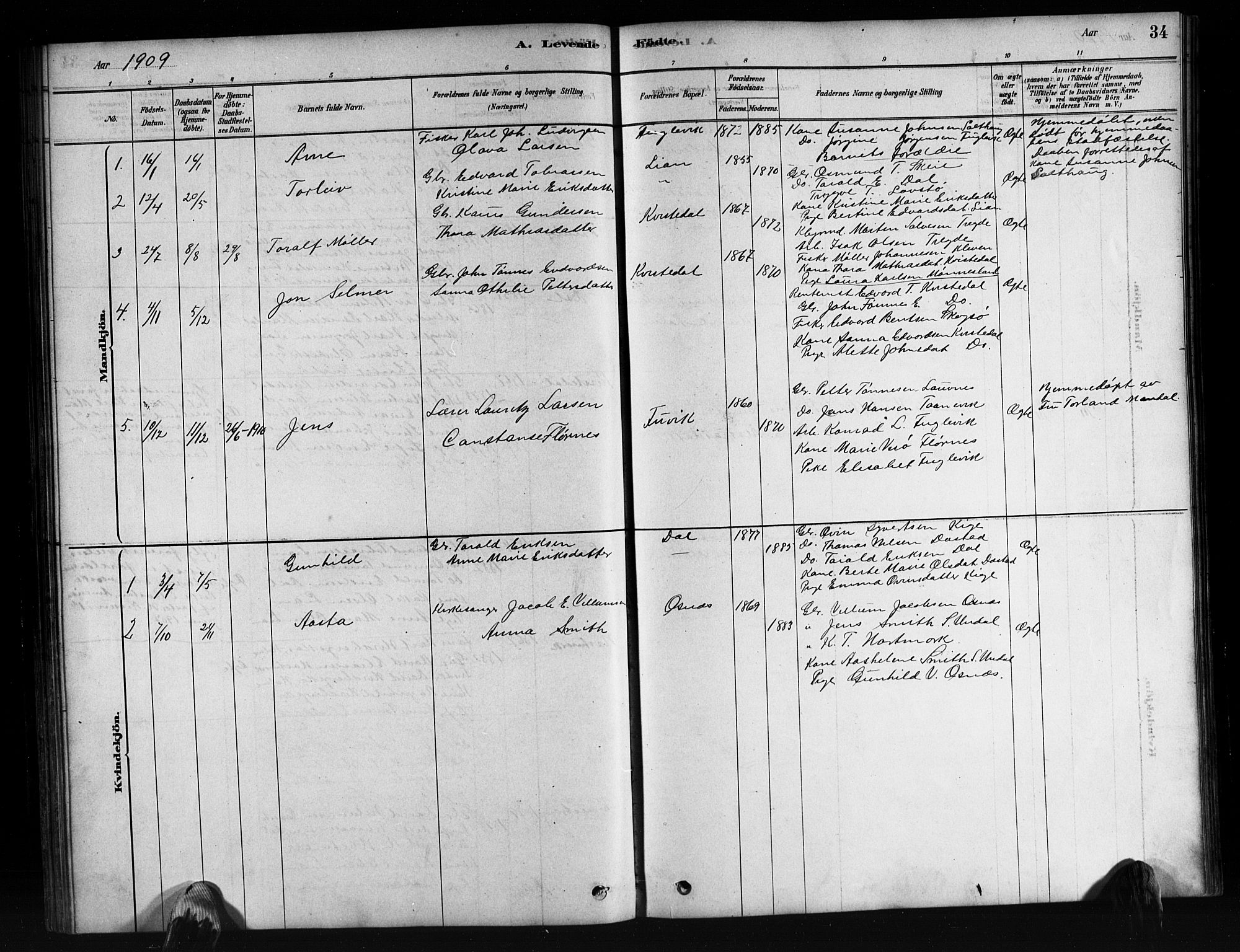 Mandal sokneprestkontor, SAK/1111-0030/F/Fb/Fbb/L0004: Parish register (copy) no. B 4, 1878-1913, p. 34