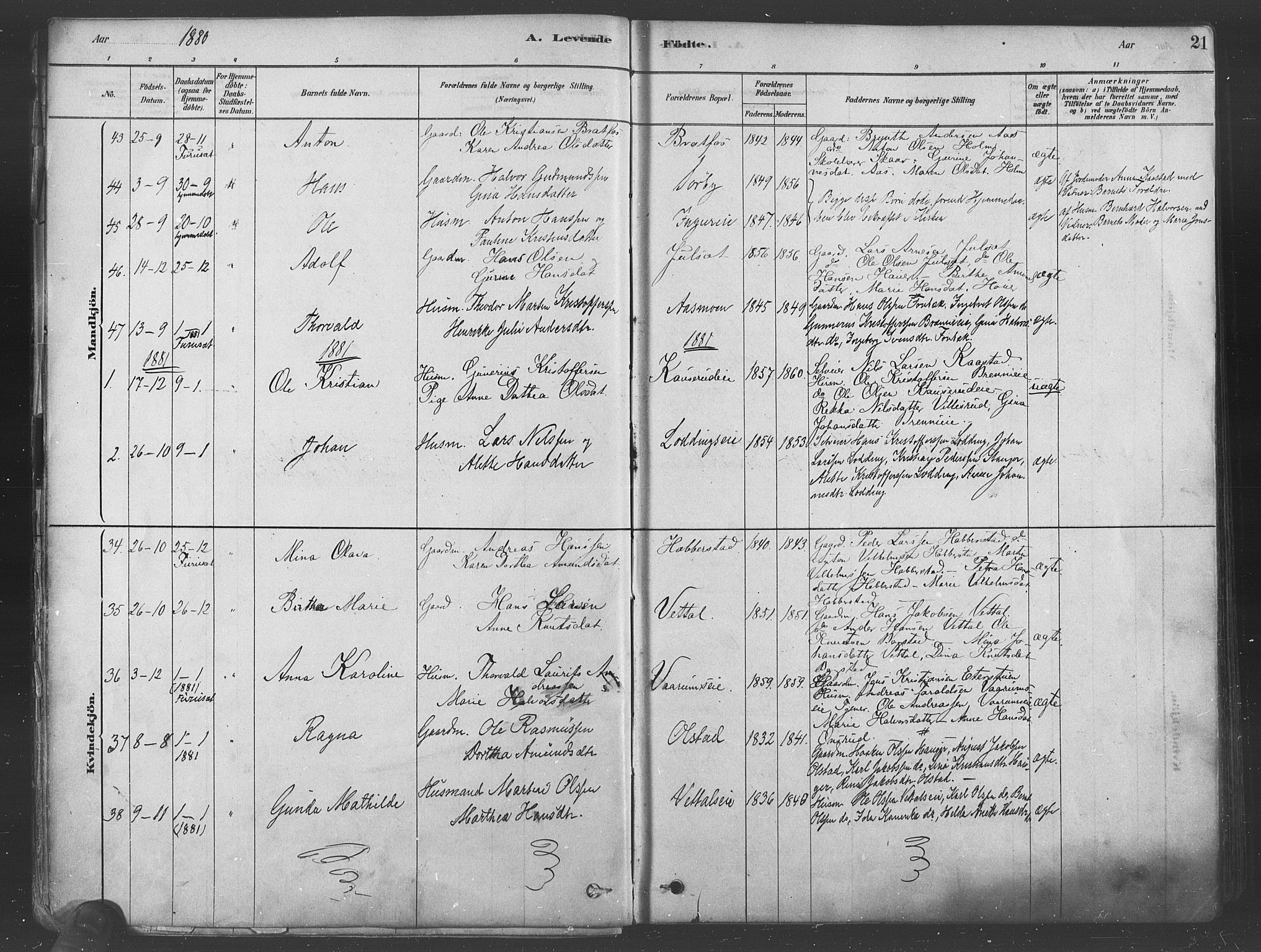 Ullensaker prestekontor Kirkebøker, SAO/A-10236a/F/Fa/L0019: Parish register (official) no. I 19, 1878-1891, p. 21