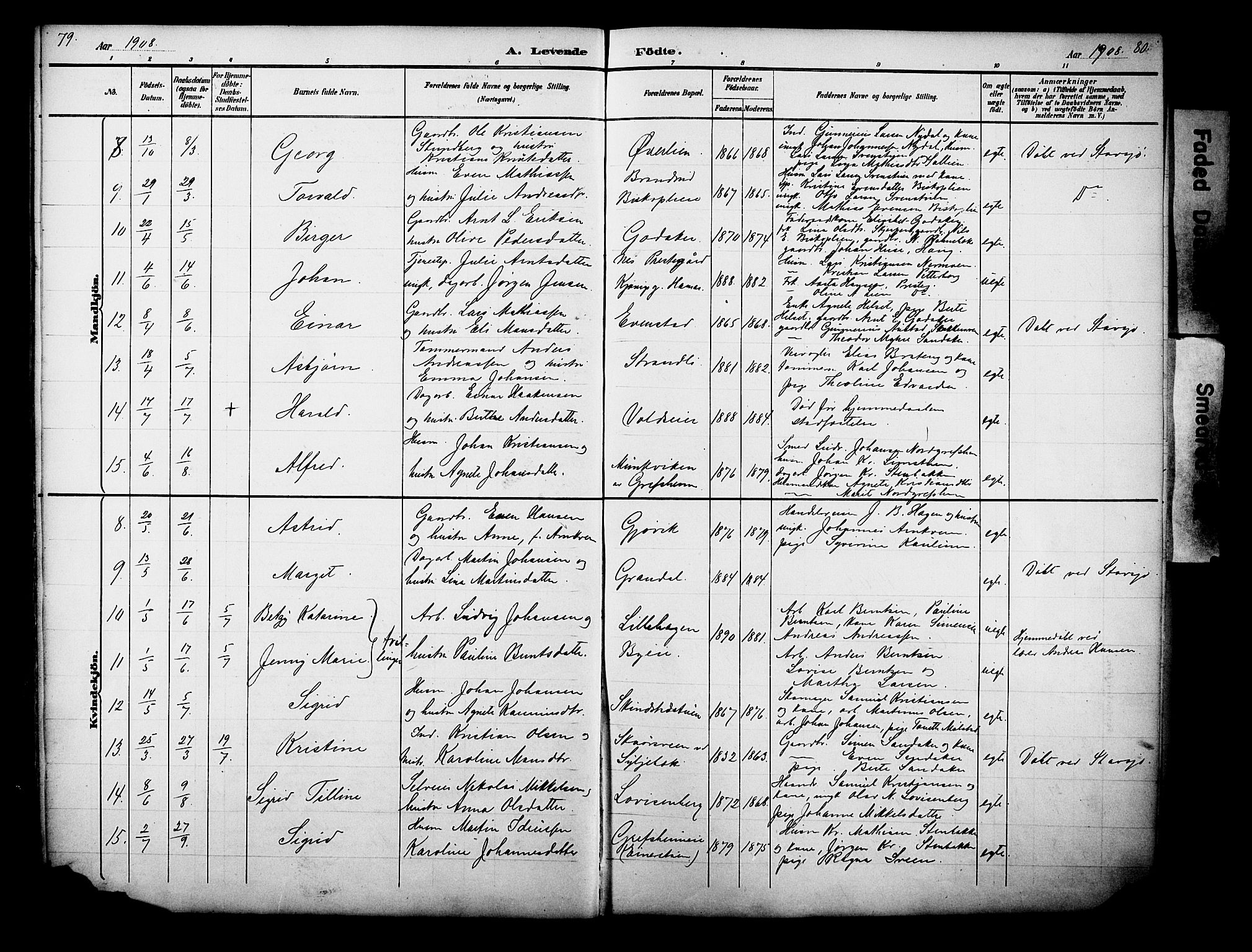 Nes prestekontor, Hedmark, AV/SAH-PREST-020/L/La/L0006: Parish register (copy) no. 6, 1890-1932, p. 79-80