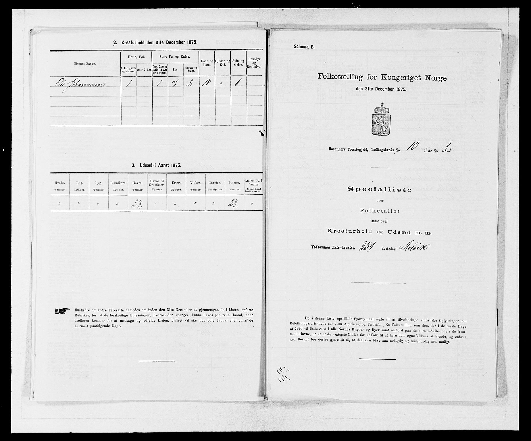 SAB, 1875 census for 1253P Hosanger, 1875, p. 705