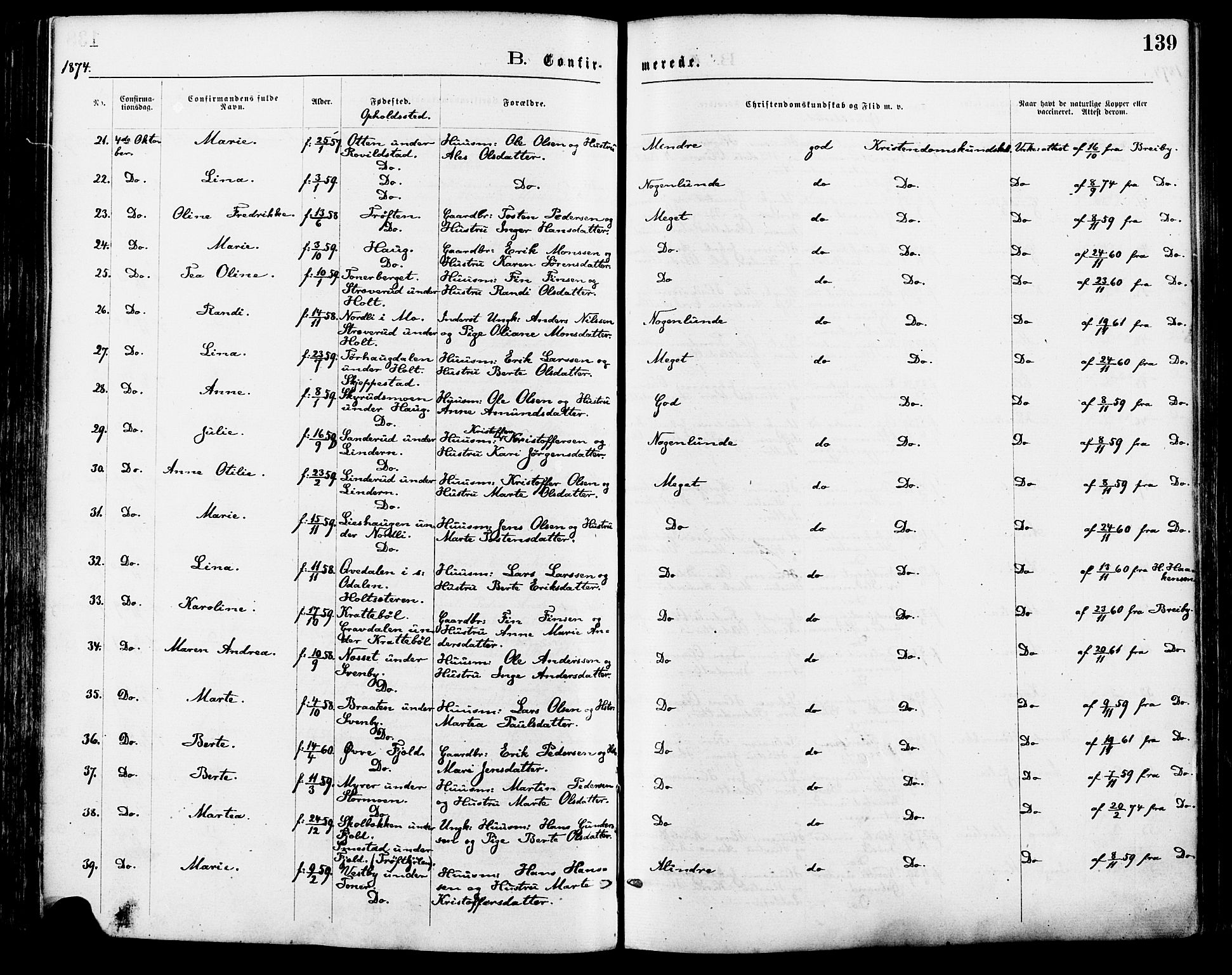 Nord-Odal prestekontor, AV/SAH-PREST-032/H/Ha/Haa/L0005: Parish register (official) no. 5, 1874-1885, p. 139