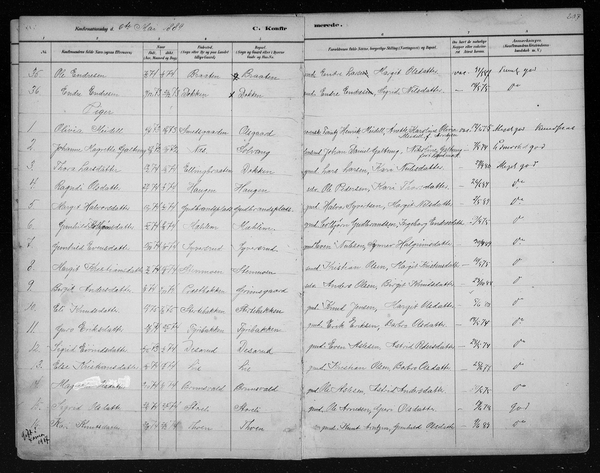 Nes kirkebøker, AV/SAKO-A-236/F/Fa/L0011: Parish register (official) no. 11, 1881-1912, p. 207