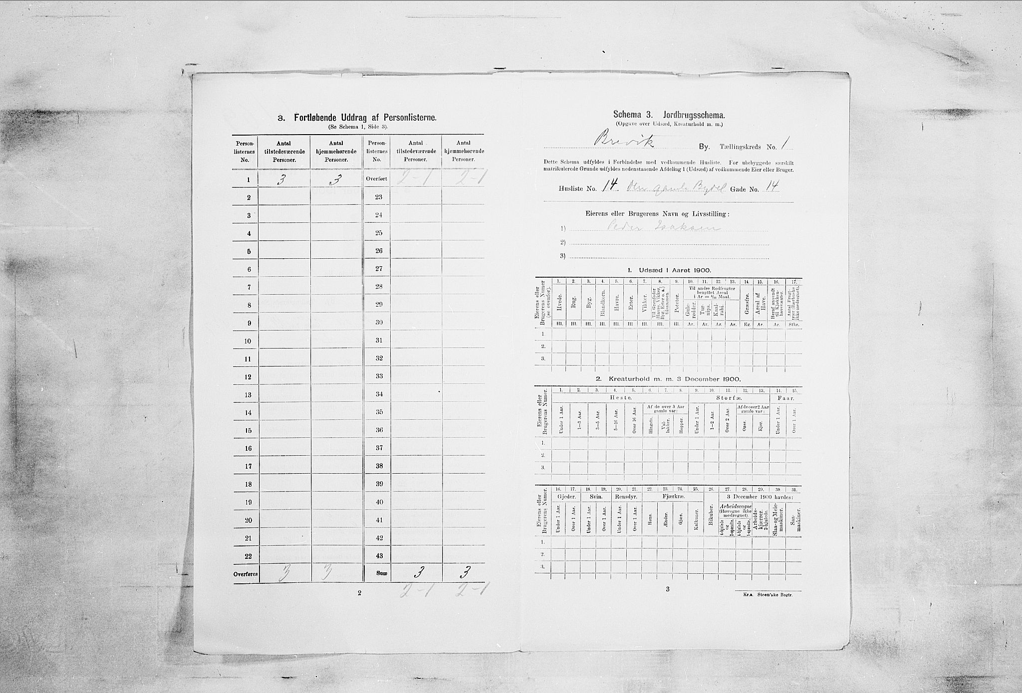 SAKO, 1900 census for Brevik, 1900, p. 29