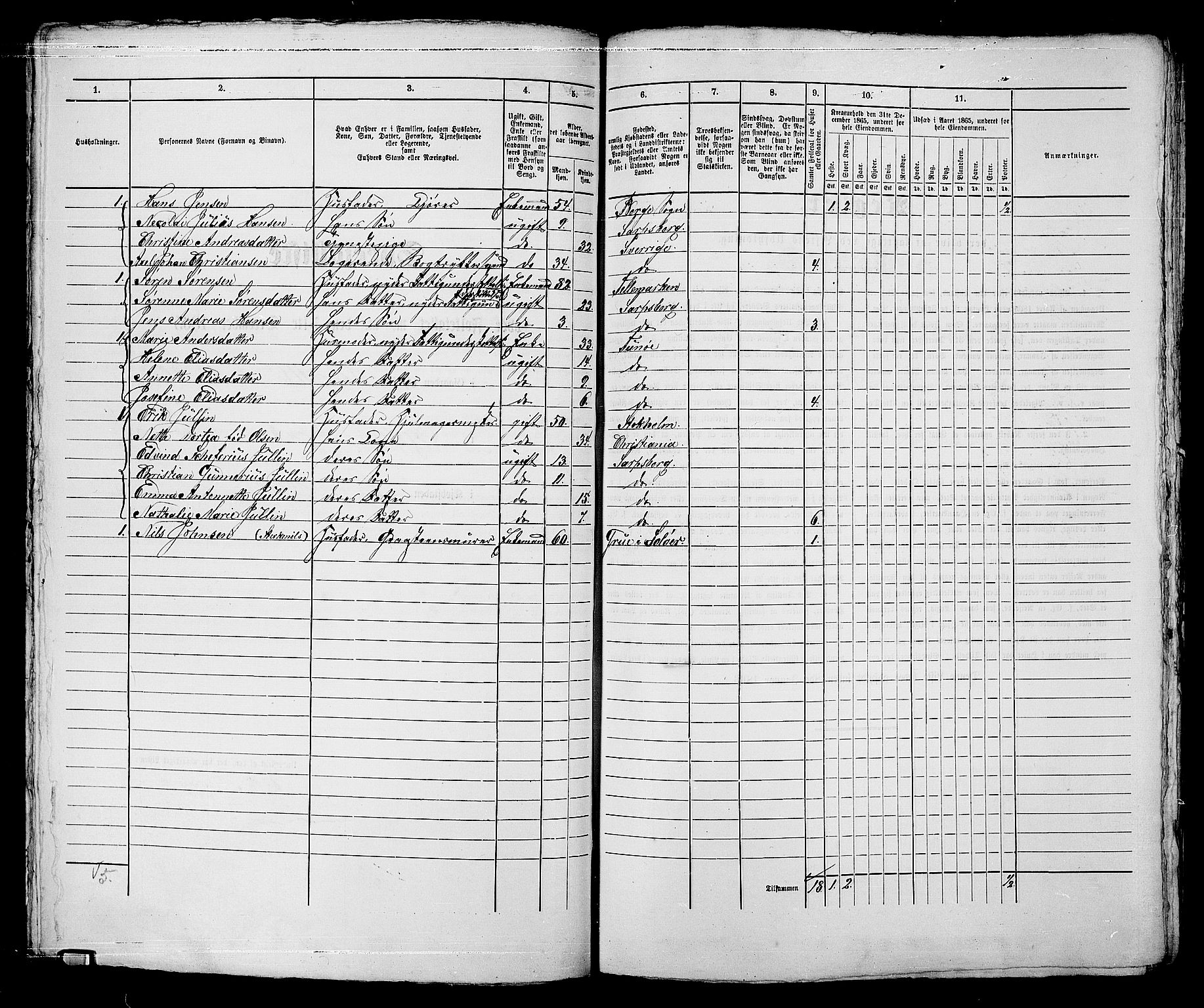 RA, 1865 census for Sarpsborg, 1865, p. 213