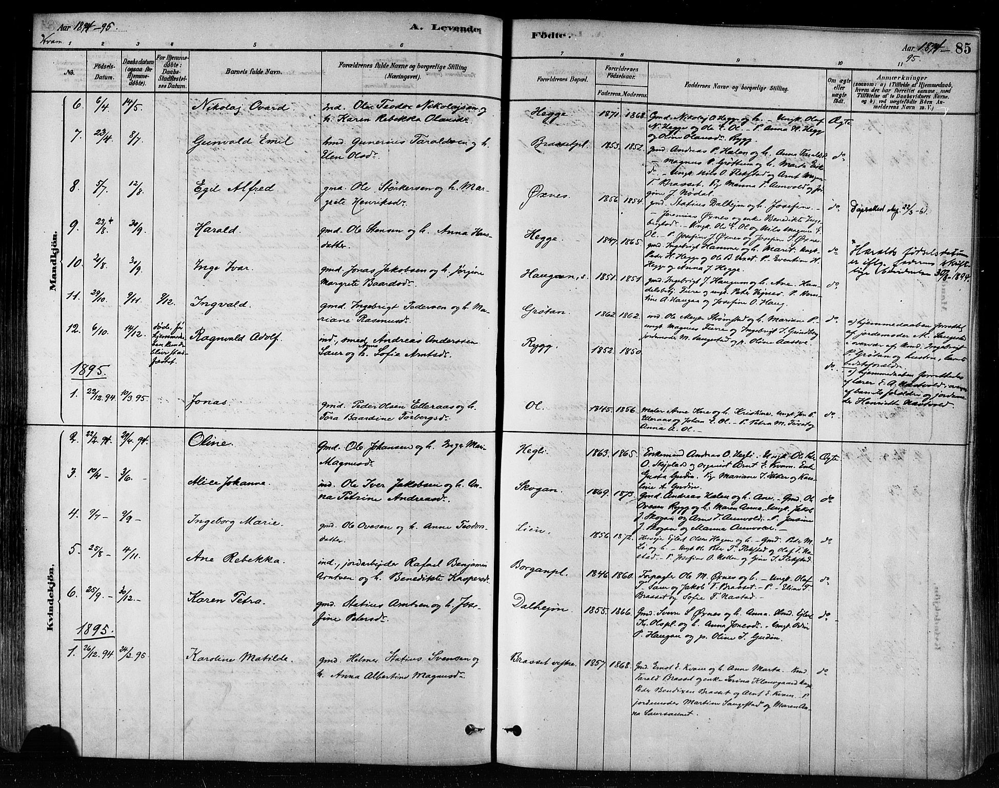 Ministerialprotokoller, klokkerbøker og fødselsregistre - Nord-Trøndelag, SAT/A-1458/746/L0449: Parish register (official) no. 746A07 /2, 1878-1899, p. 85