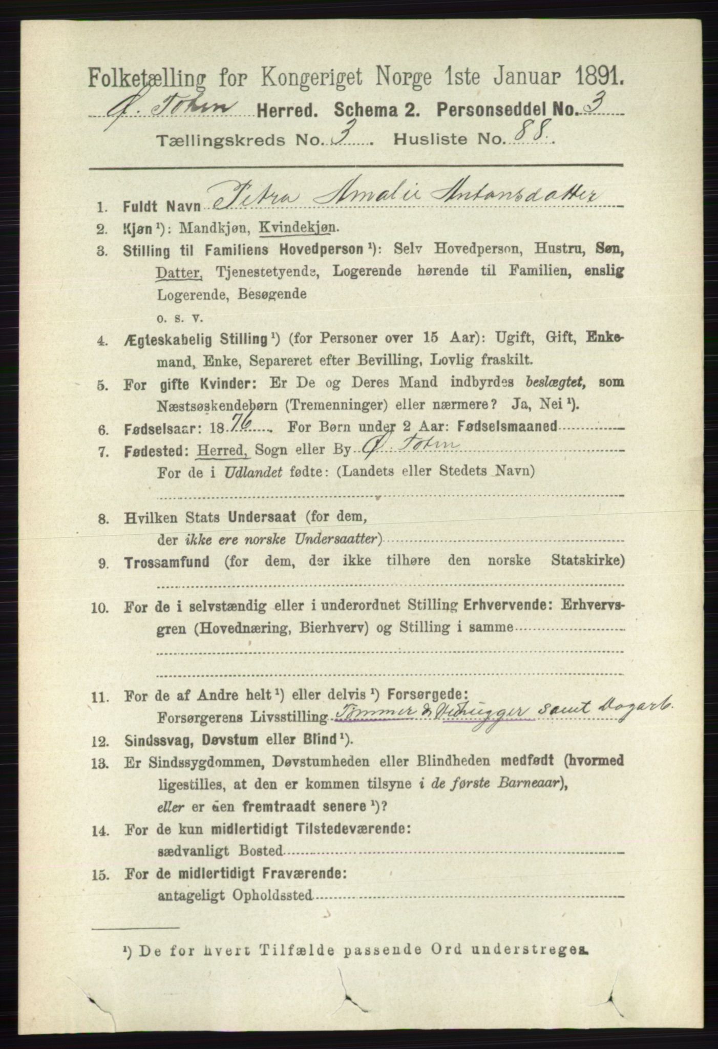 RA, 1891 census for 0528 Østre Toten, 1891, p. 2061