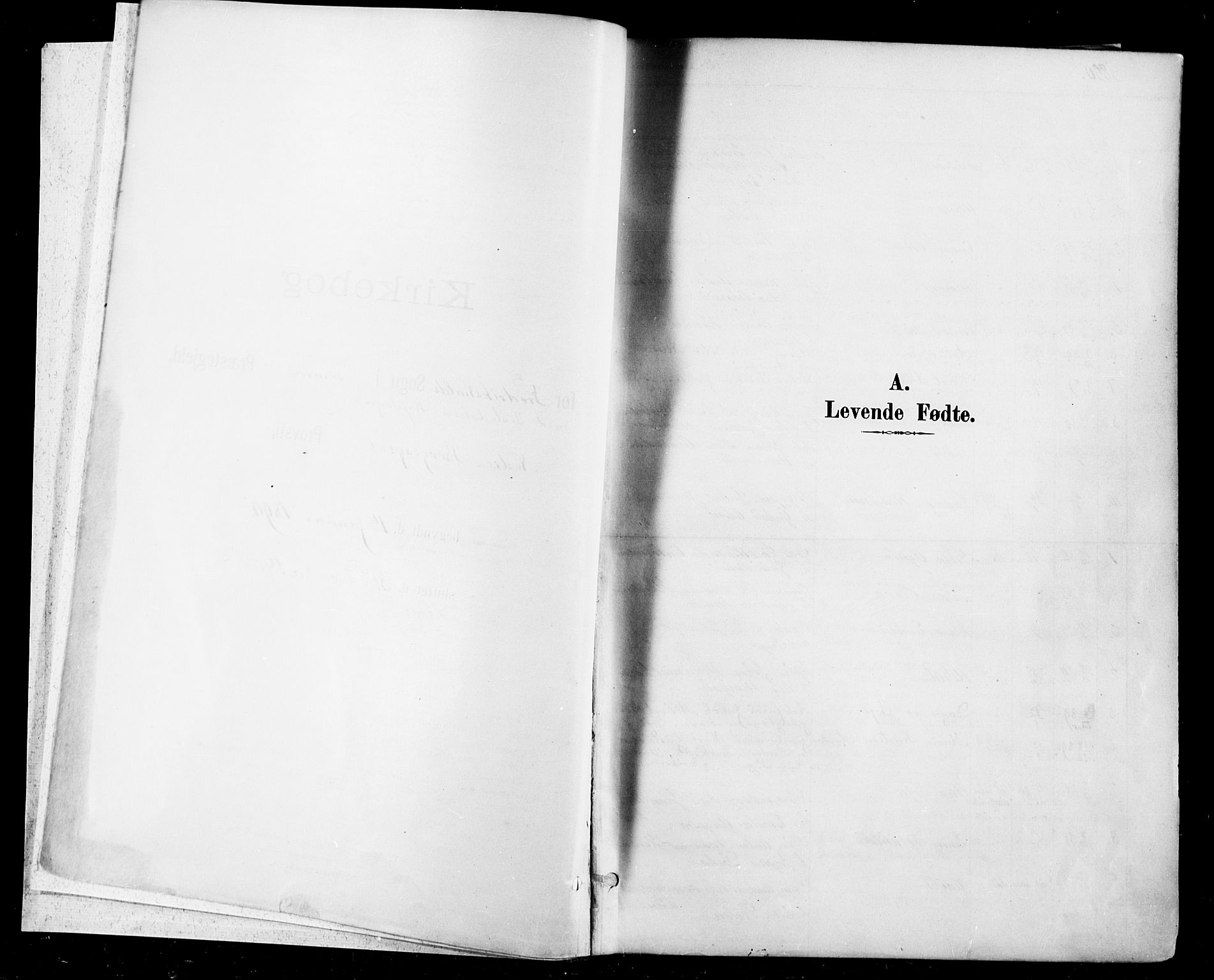 Halden prestekontor Kirkebøker, SAO/A-10909/F/Fa/L0013: Parish register (official) no. I 13, 1890-1906