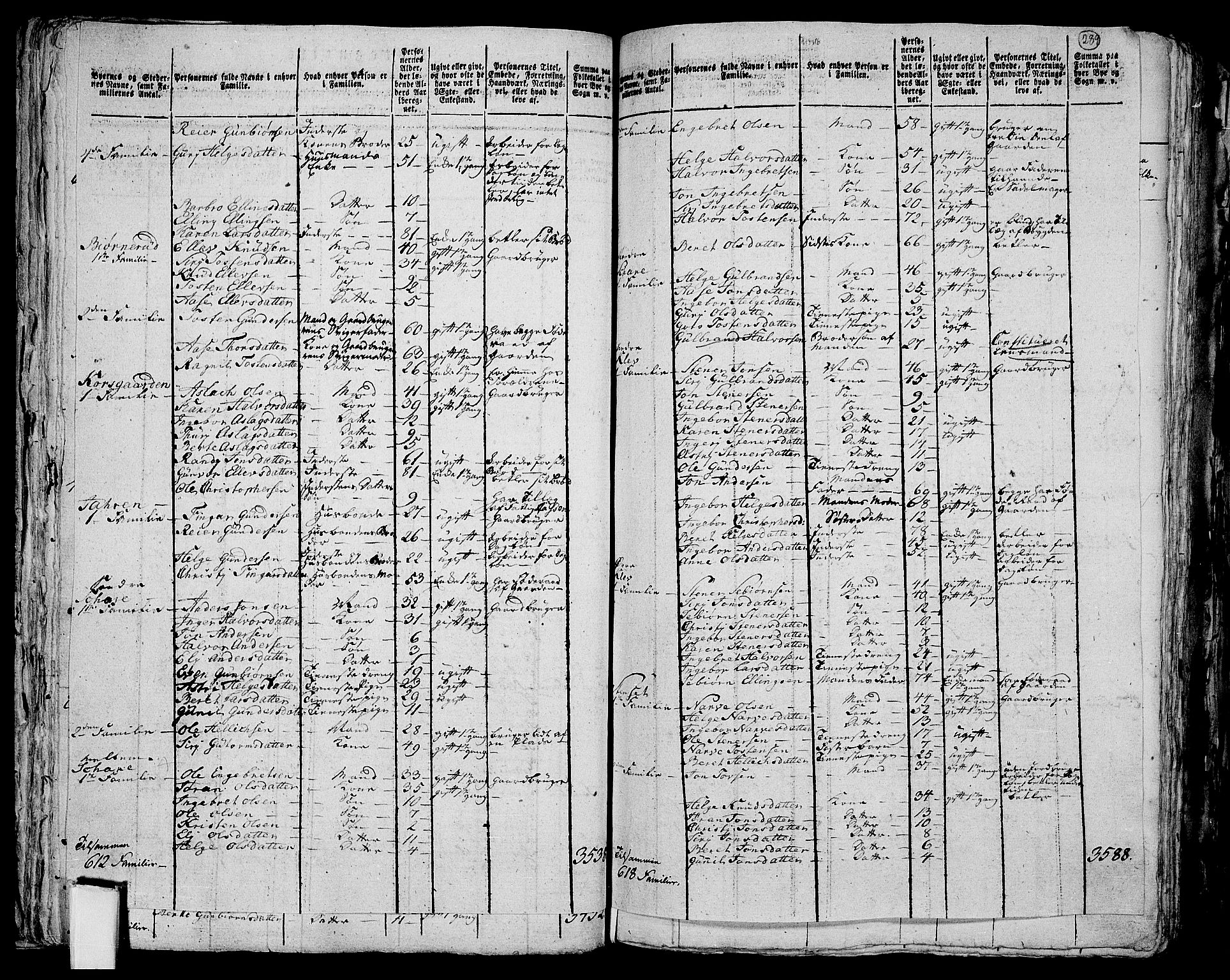 RA, 1801 census for 0621P Sigdal, 1801, p. 288b-289a