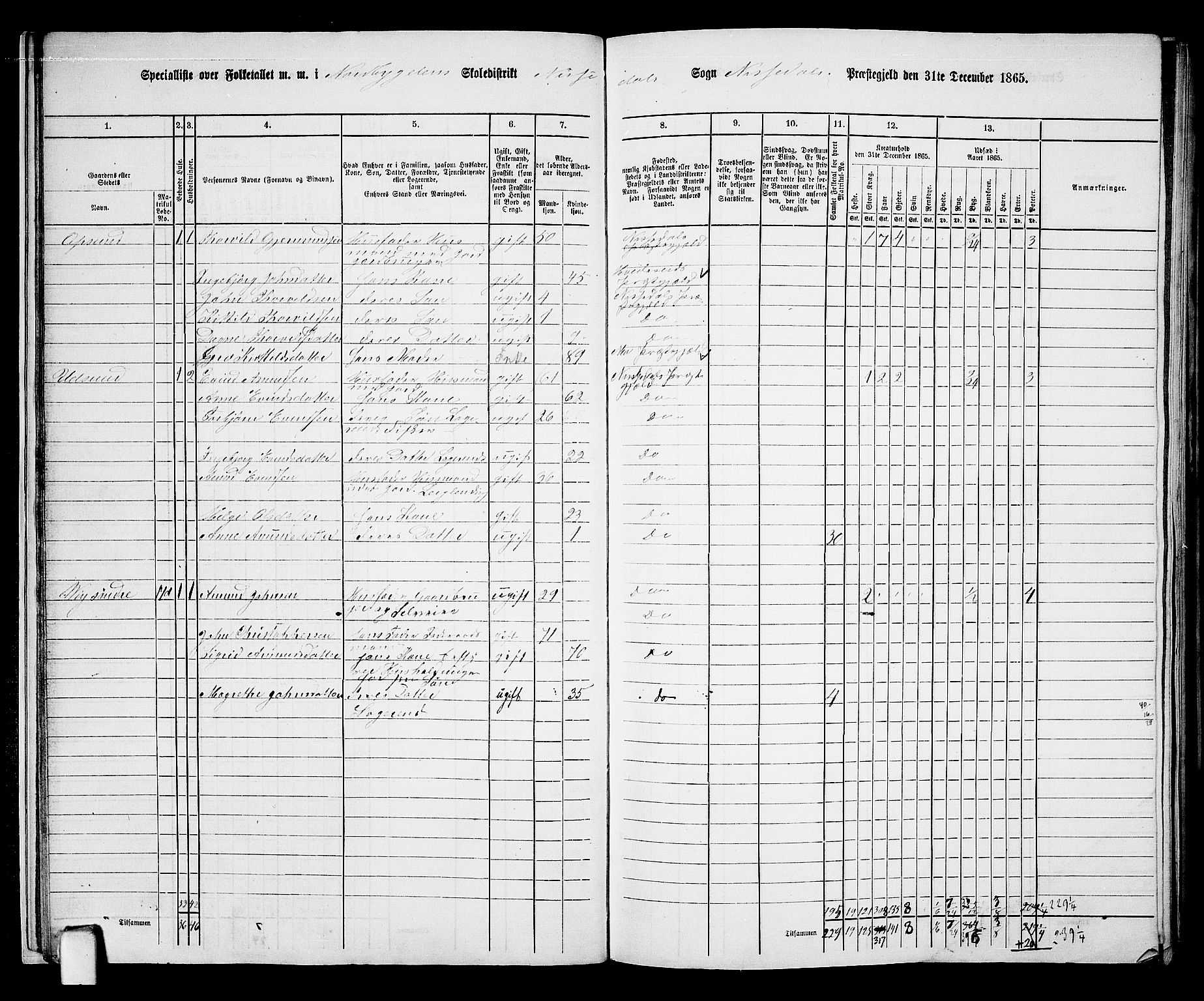 RA, 1865 census for Nissedal, 1865, p. 19