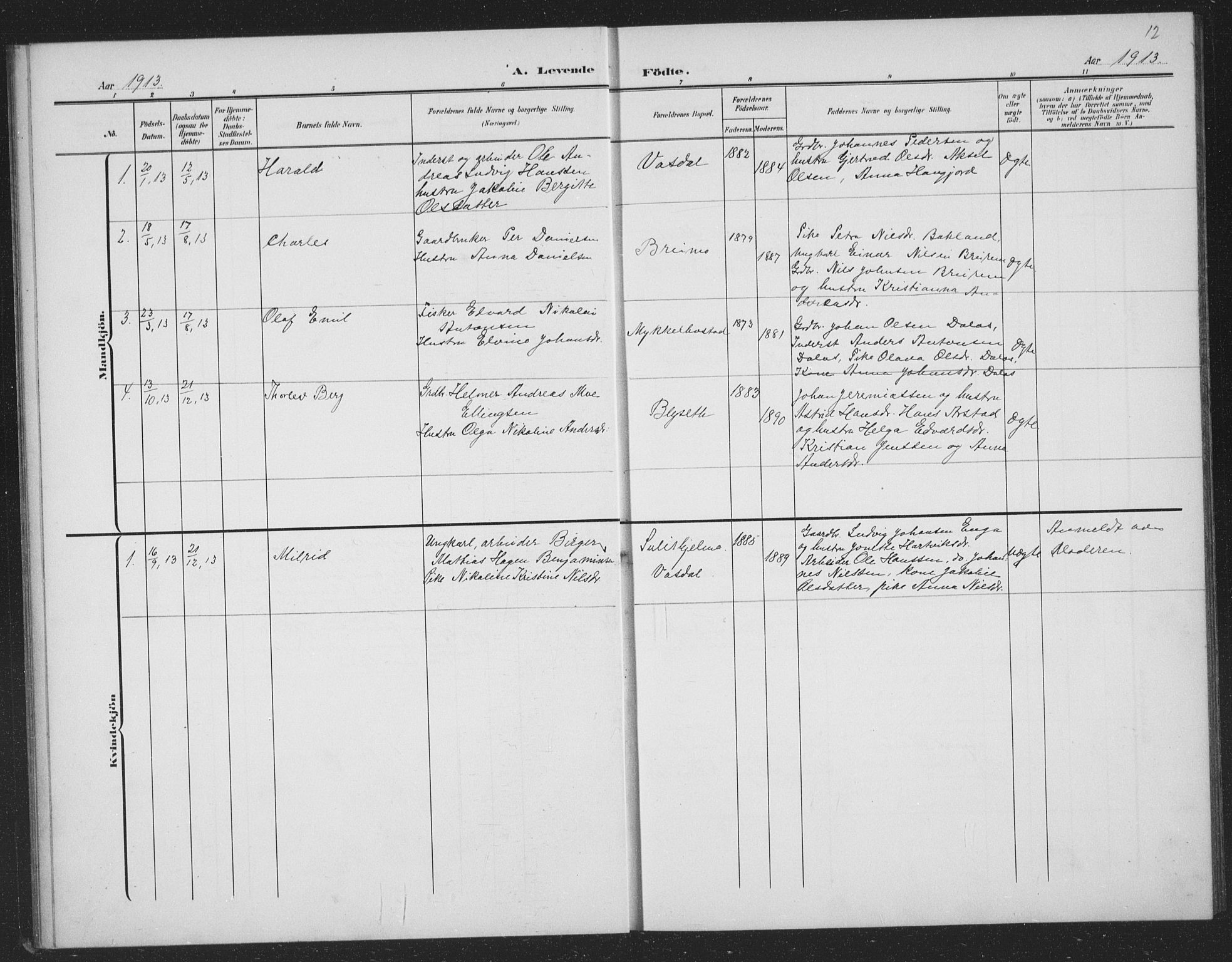 Ministerialprotokoller, klokkerbøker og fødselsregistre - Nordland, AV/SAT-A-1459/833/L0502: Parish register (copy) no. 833C01, 1906-1934, p. 12