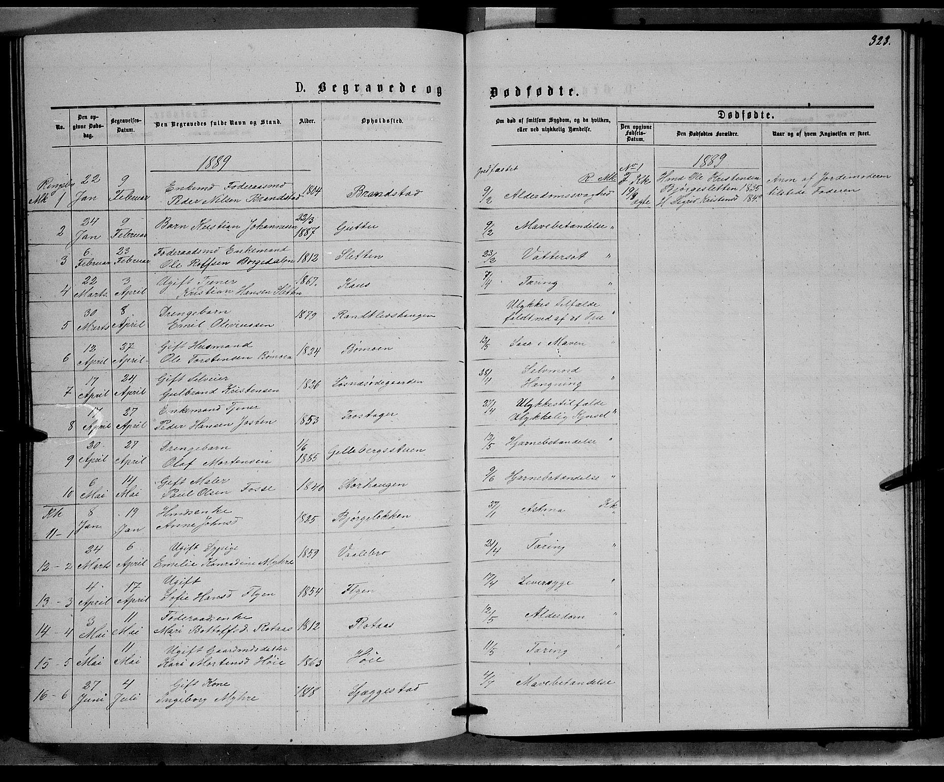 Ringebu prestekontor, SAH/PREST-082/H/Ha/Hab/L0006: Parish register (copy) no. 6, 1880-1898, p. 323