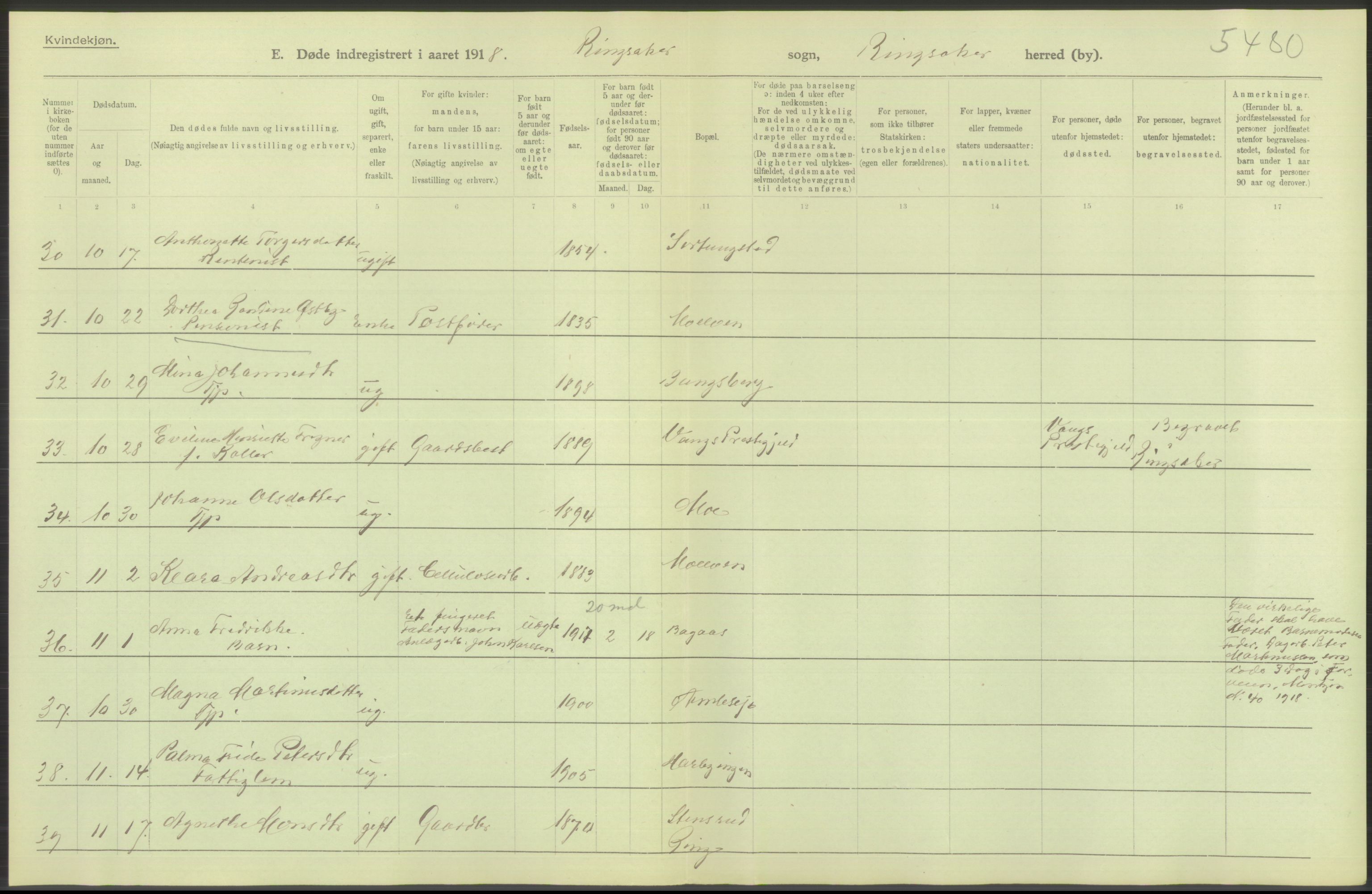 Statistisk sentralbyrå, Sosiodemografiske emner, Befolkning, AV/RA-S-2228/D/Df/Dfb/Dfbh/L0014: Hedemarkens fylke: Døde. Bygder og byer., 1918, p. 194