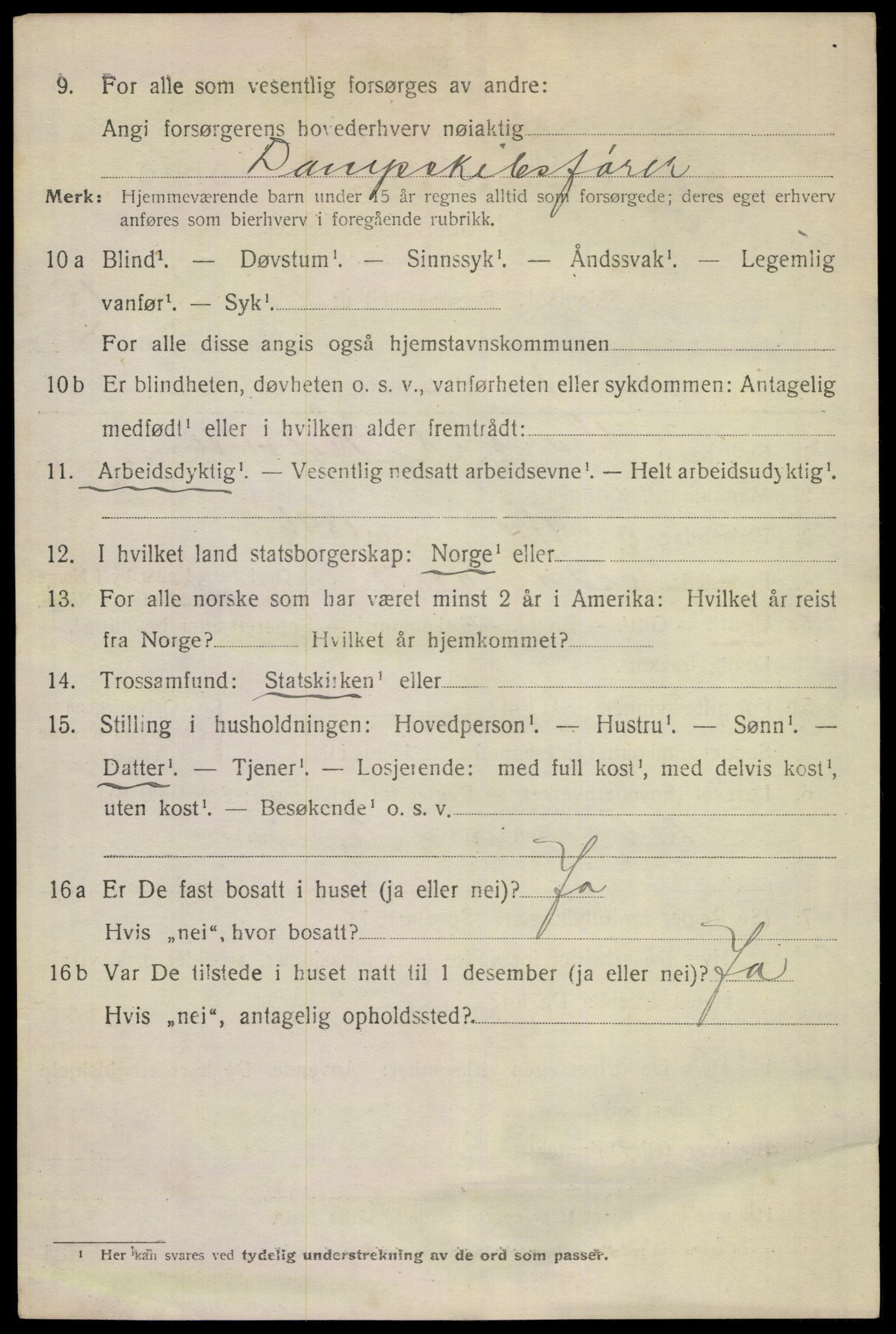 SAKO, 1920 census for Skien, 1920, p. 43541