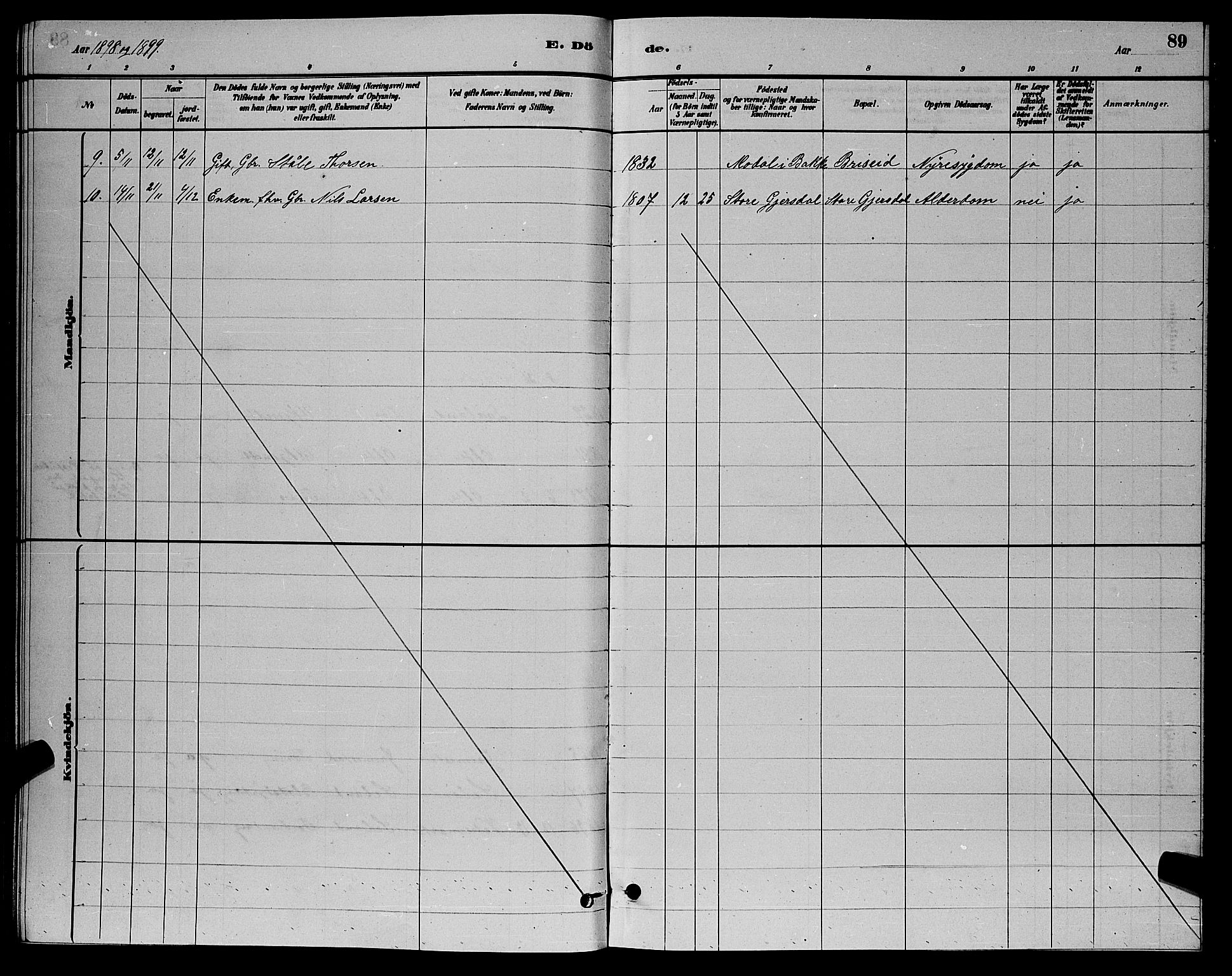 Herad sokneprestkontor, AV/SAK-1111-0018/F/Fb/Fba/L0004: Parish register (copy) no. B 4, 1882-1899, p. 89