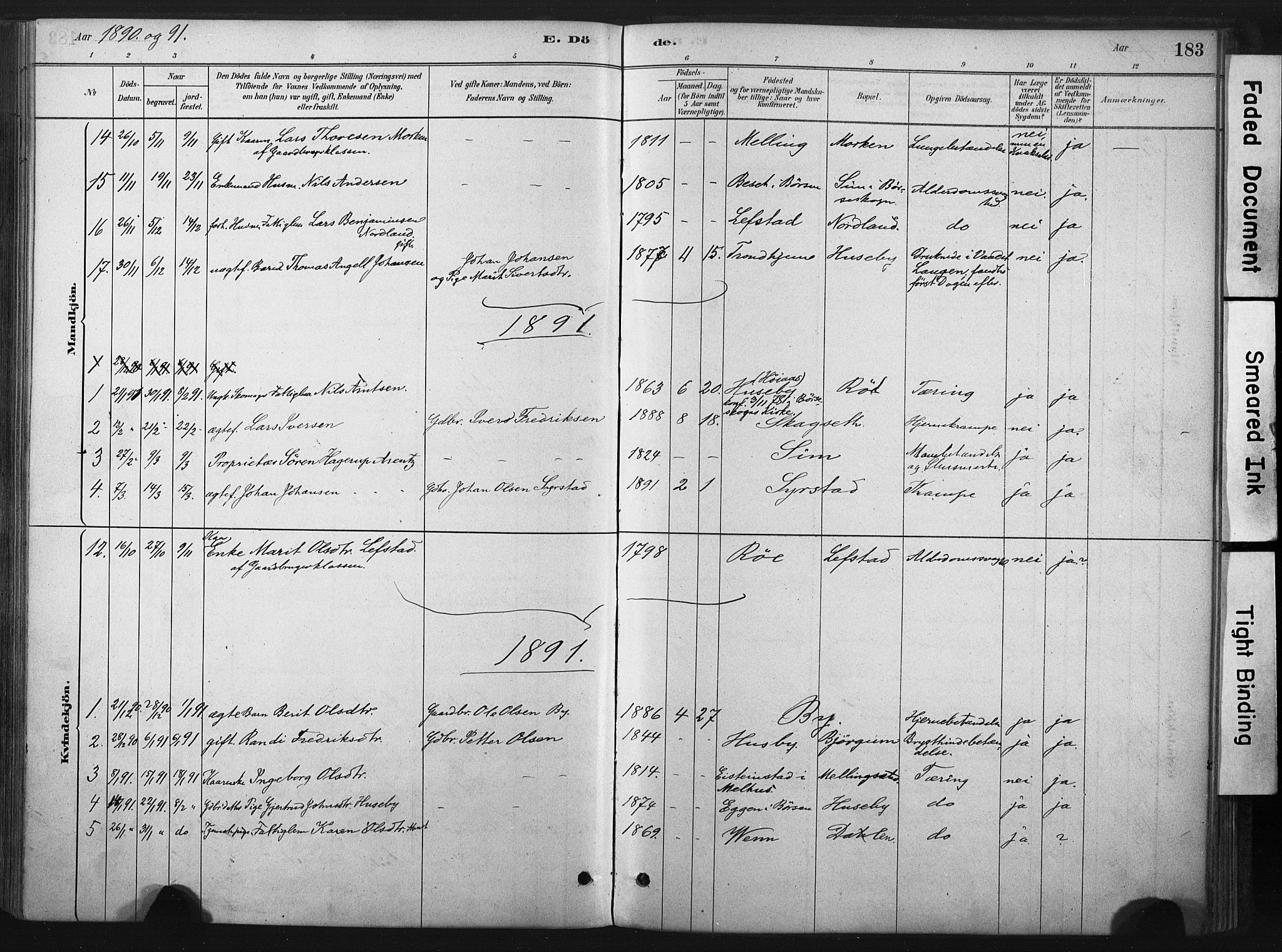 Ministerialprotokoller, klokkerbøker og fødselsregistre - Sør-Trøndelag, SAT/A-1456/667/L0795: Parish register (official) no. 667A03, 1879-1907, p. 183