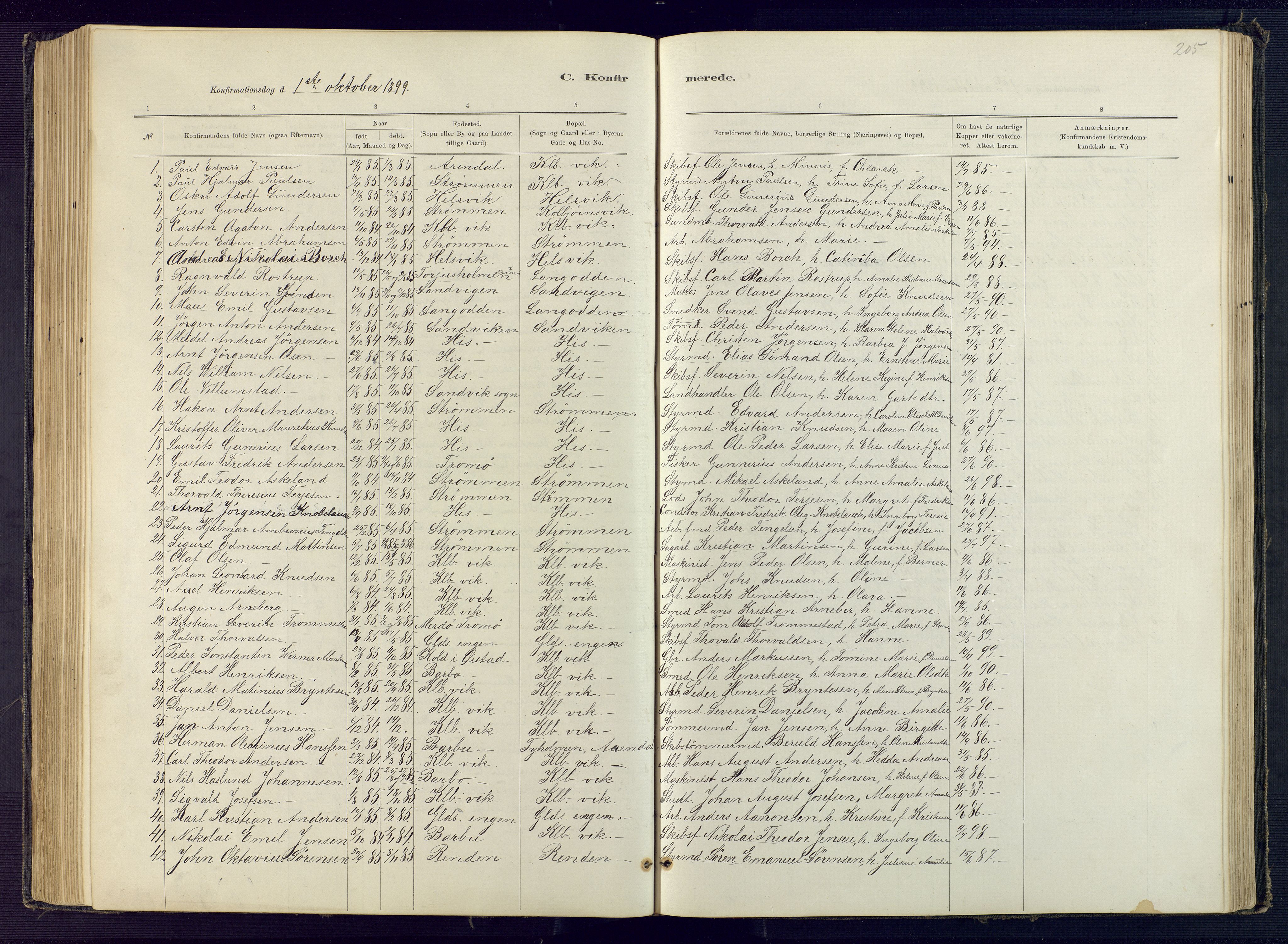 Hisøy sokneprestkontor, SAK/1111-0020/F/Fb/L0003: Parish register (copy) no. B 3, 1885-1905, p. 205