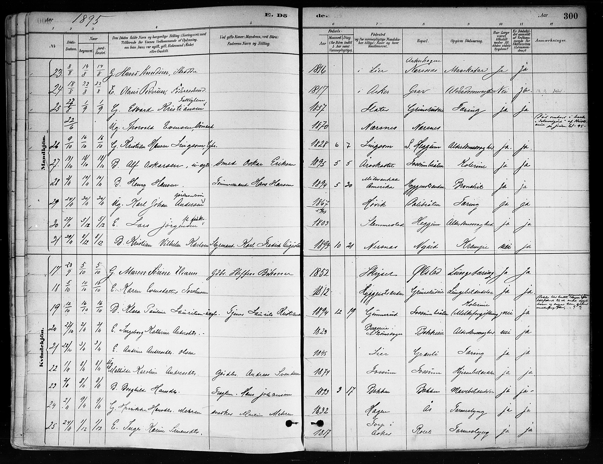 Røyken kirkebøker, SAKO/A-241/F/Fa/L0008: Parish register (official) no. 8, 1880-1897, p. 300